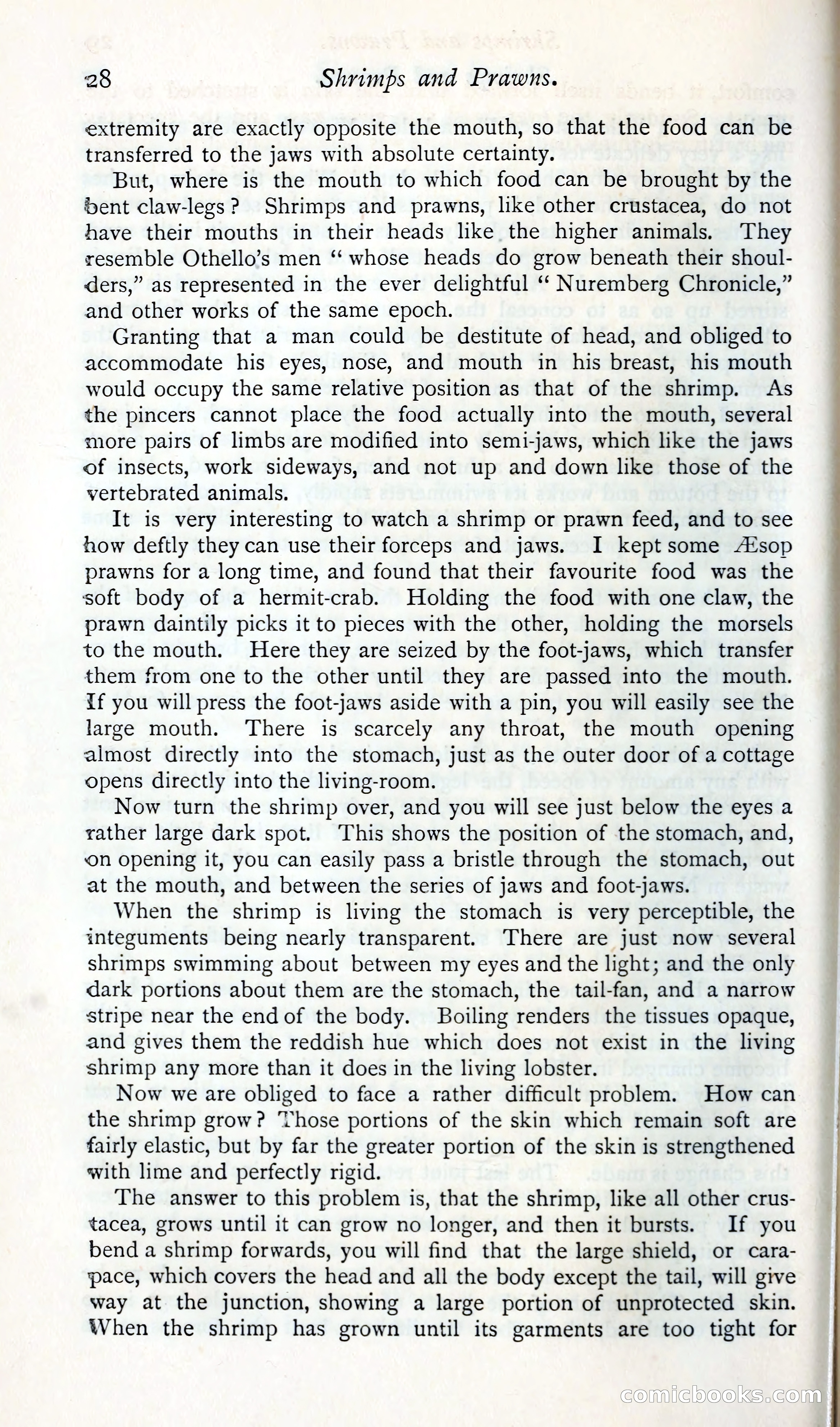The Argosy — page 41 of 392