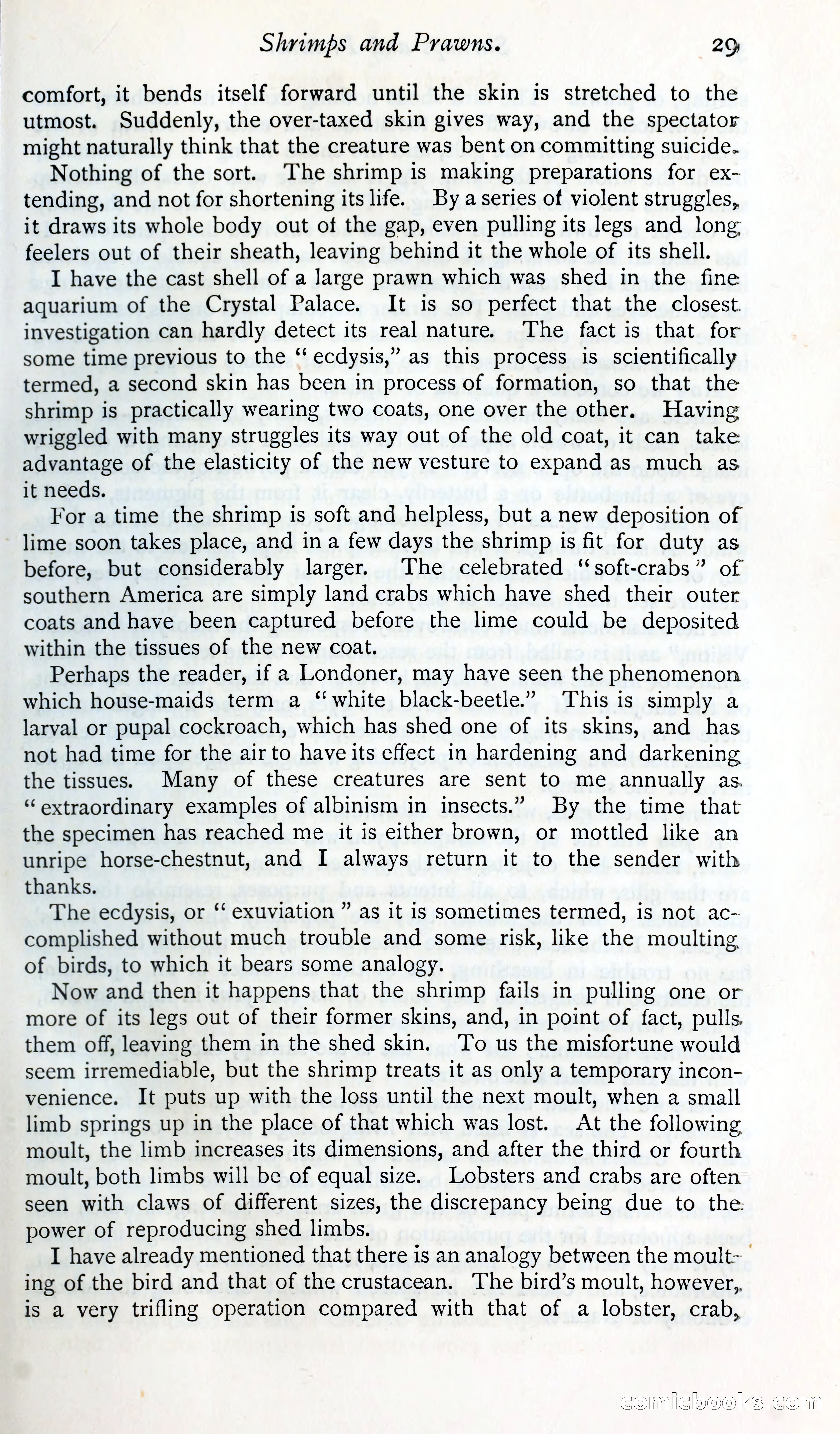 The Argosy — page 42 of 392