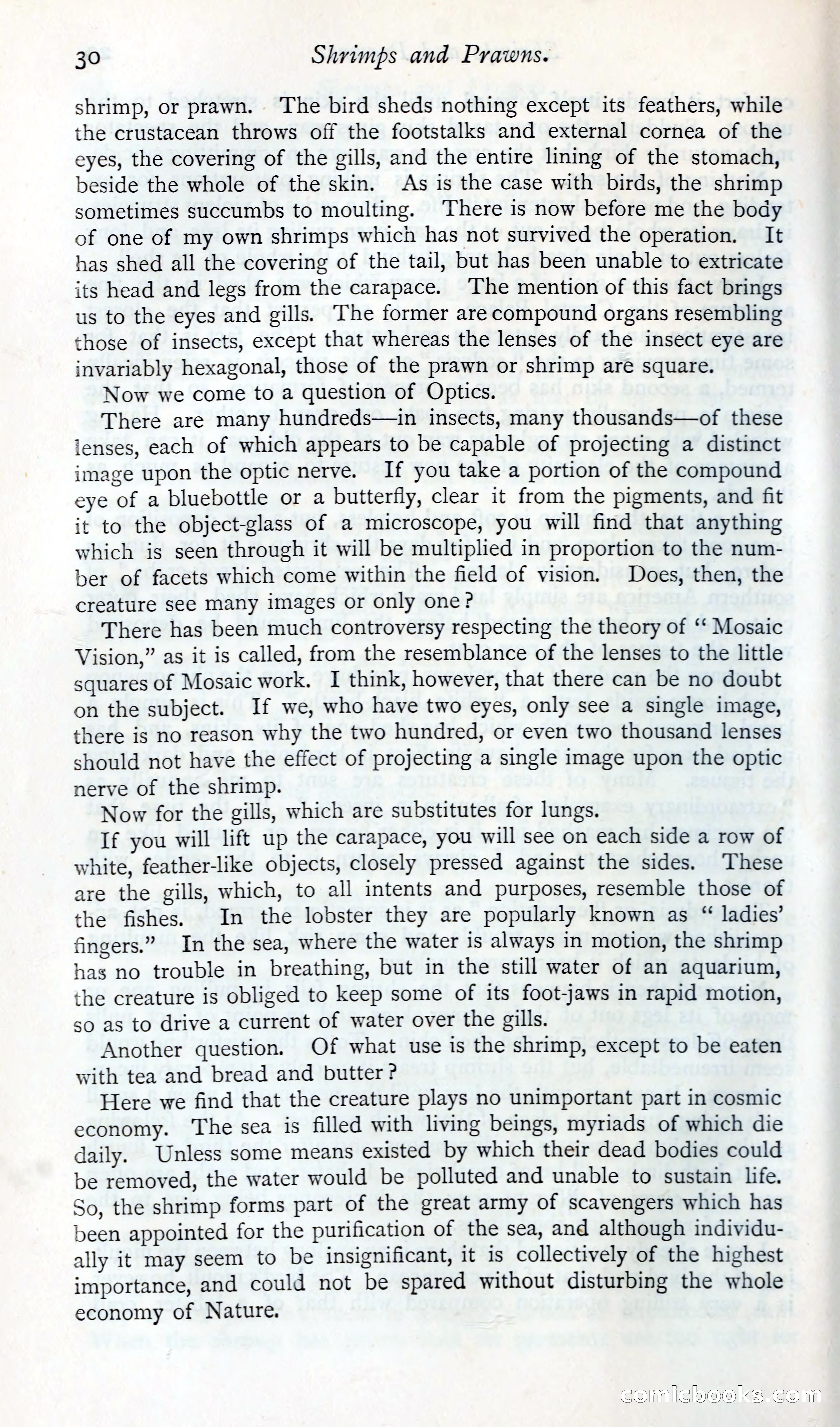 The Argosy — page 43 of 392