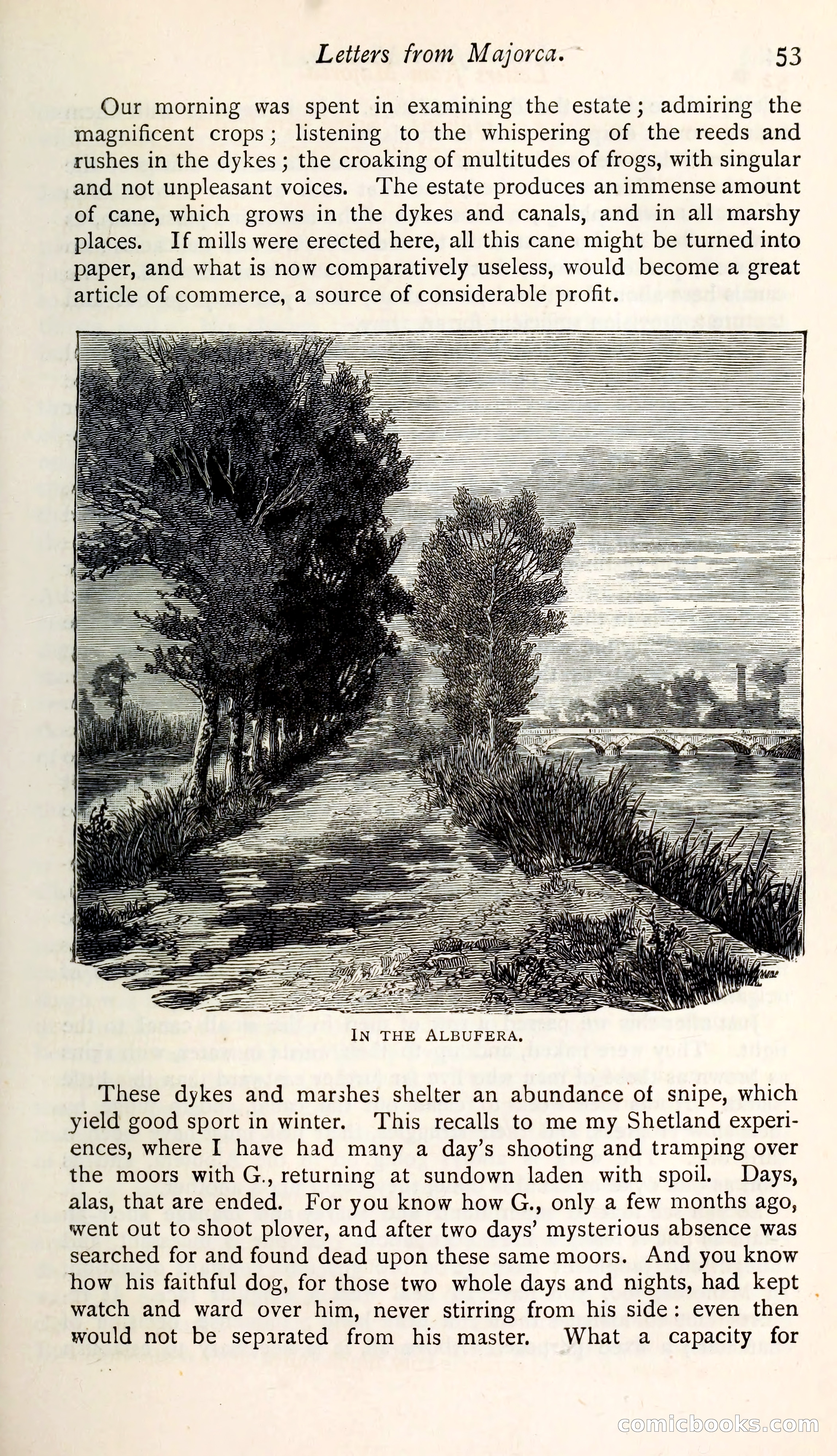 The Argosy — page 68 of 399