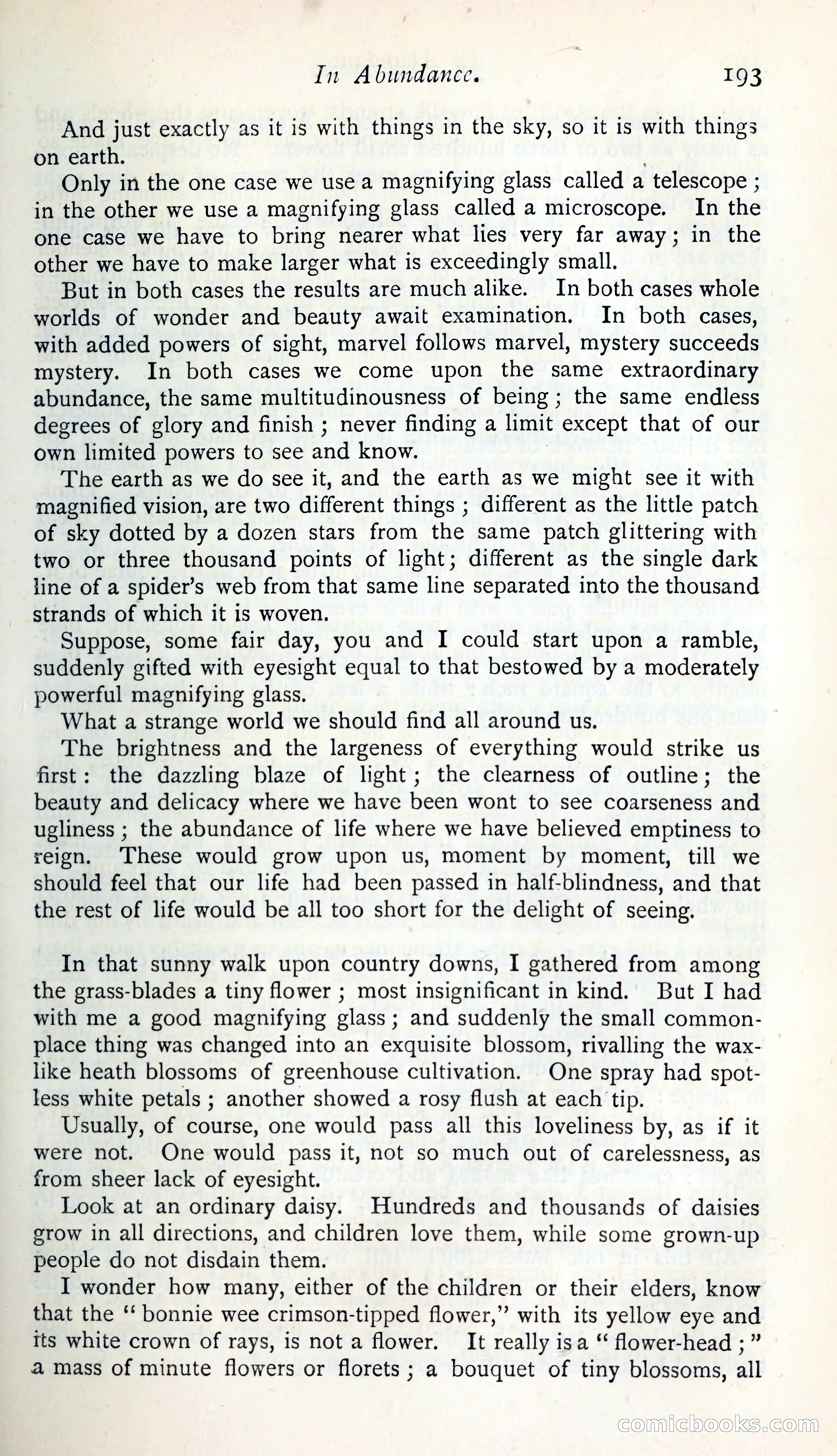 The Argosy — page 214 of 399
