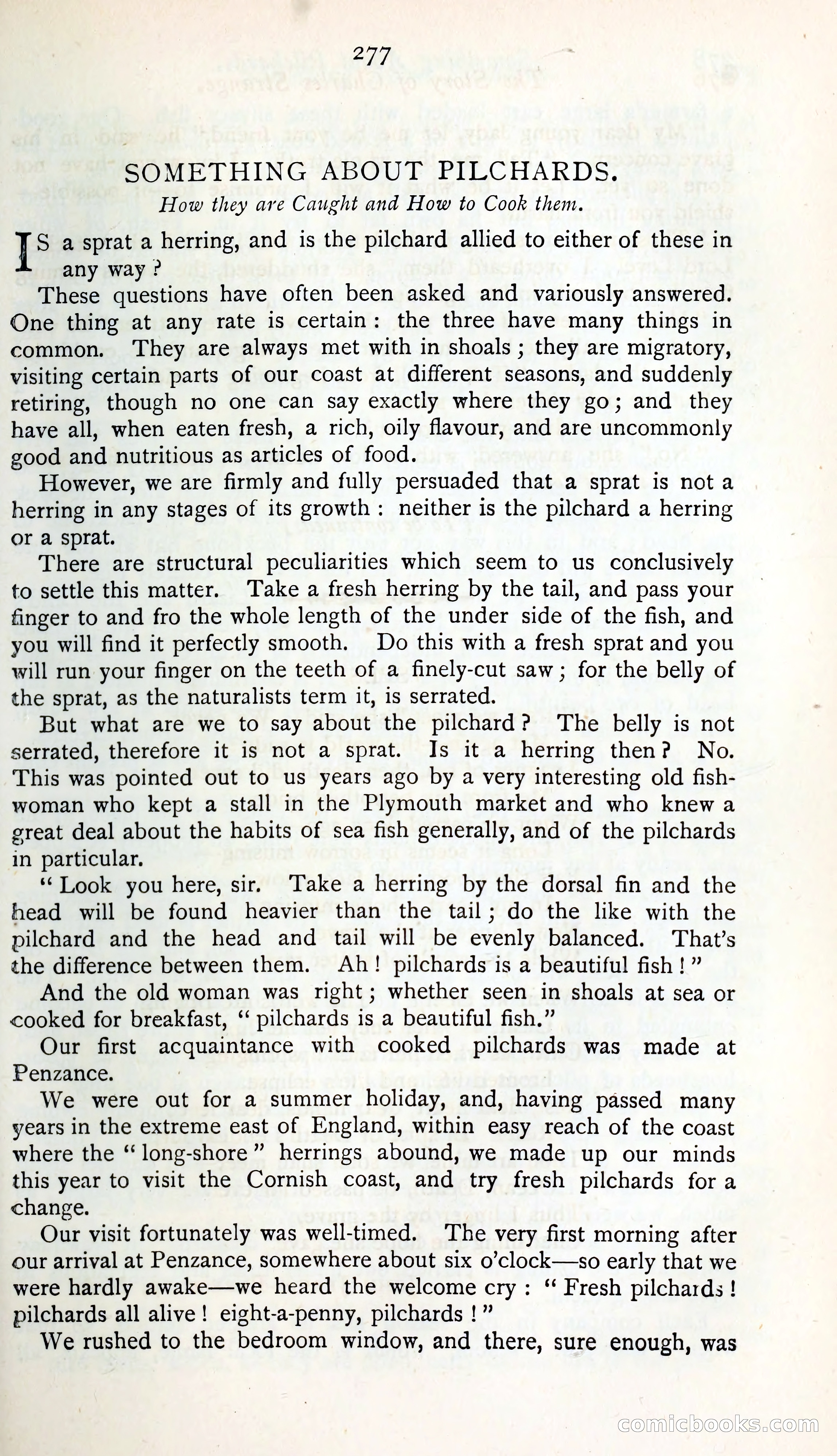 The Argosy — page 300 of 399