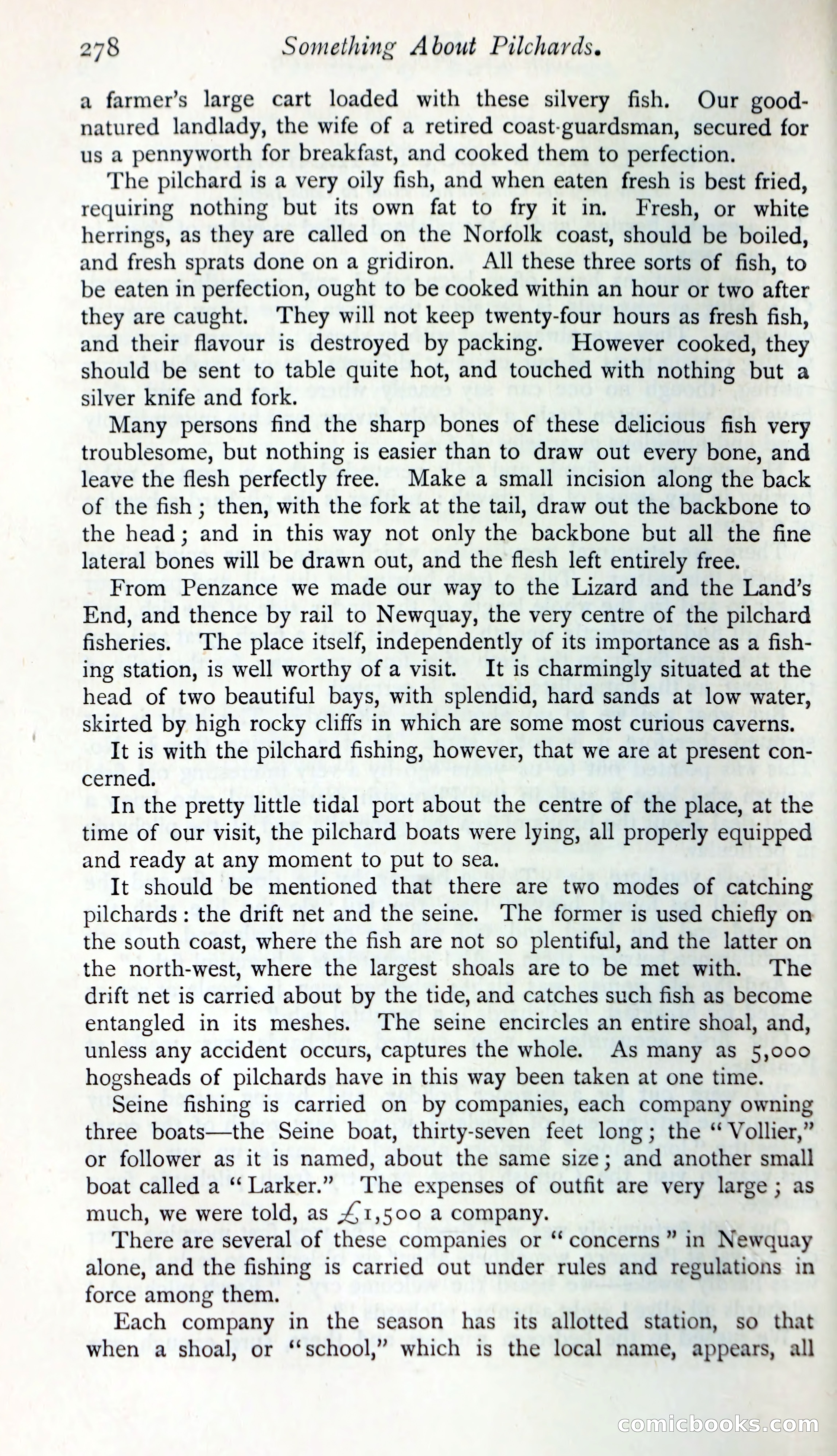 The Argosy — page 301 of 399