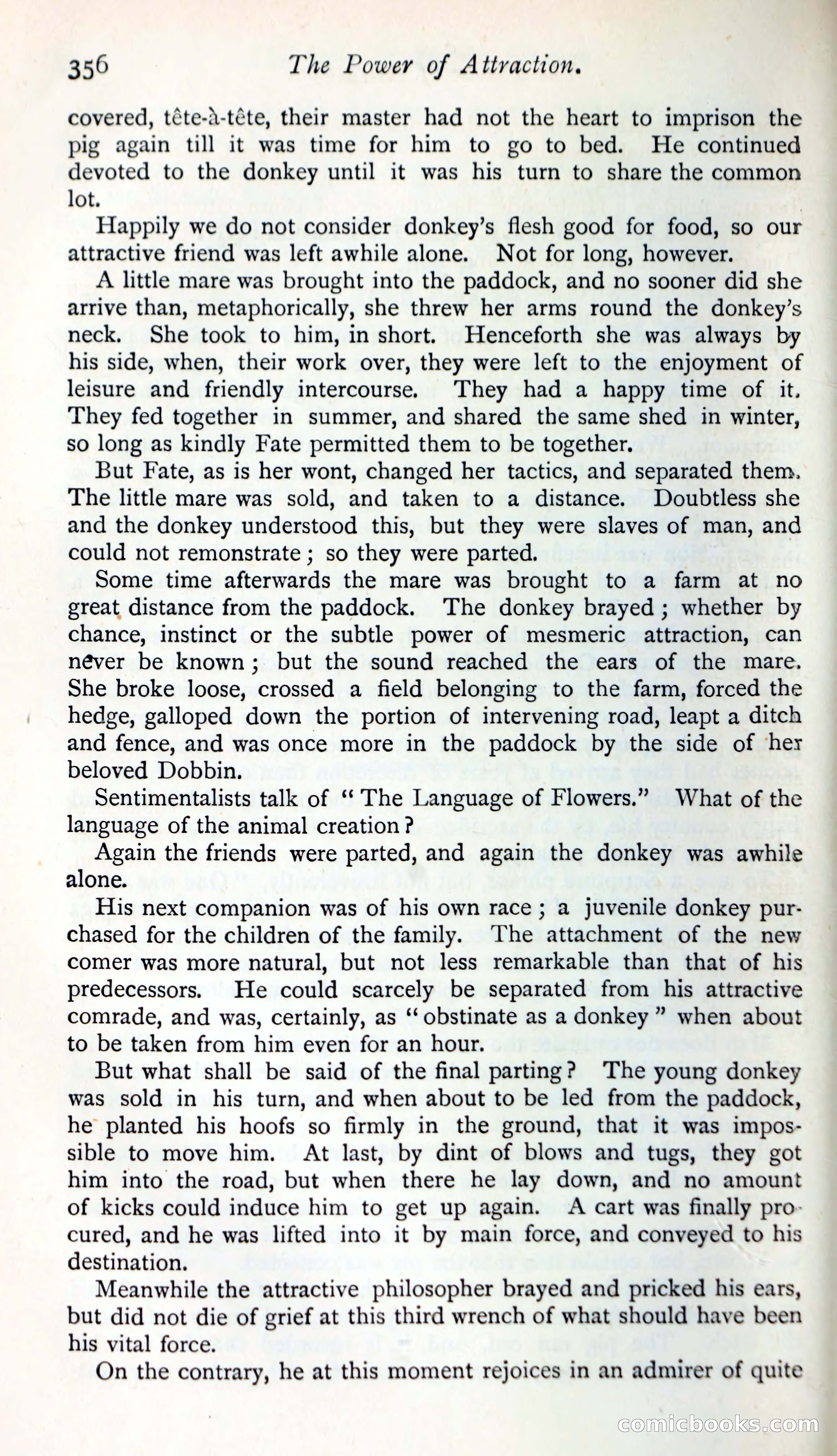 The Argosy — page 381 of 399