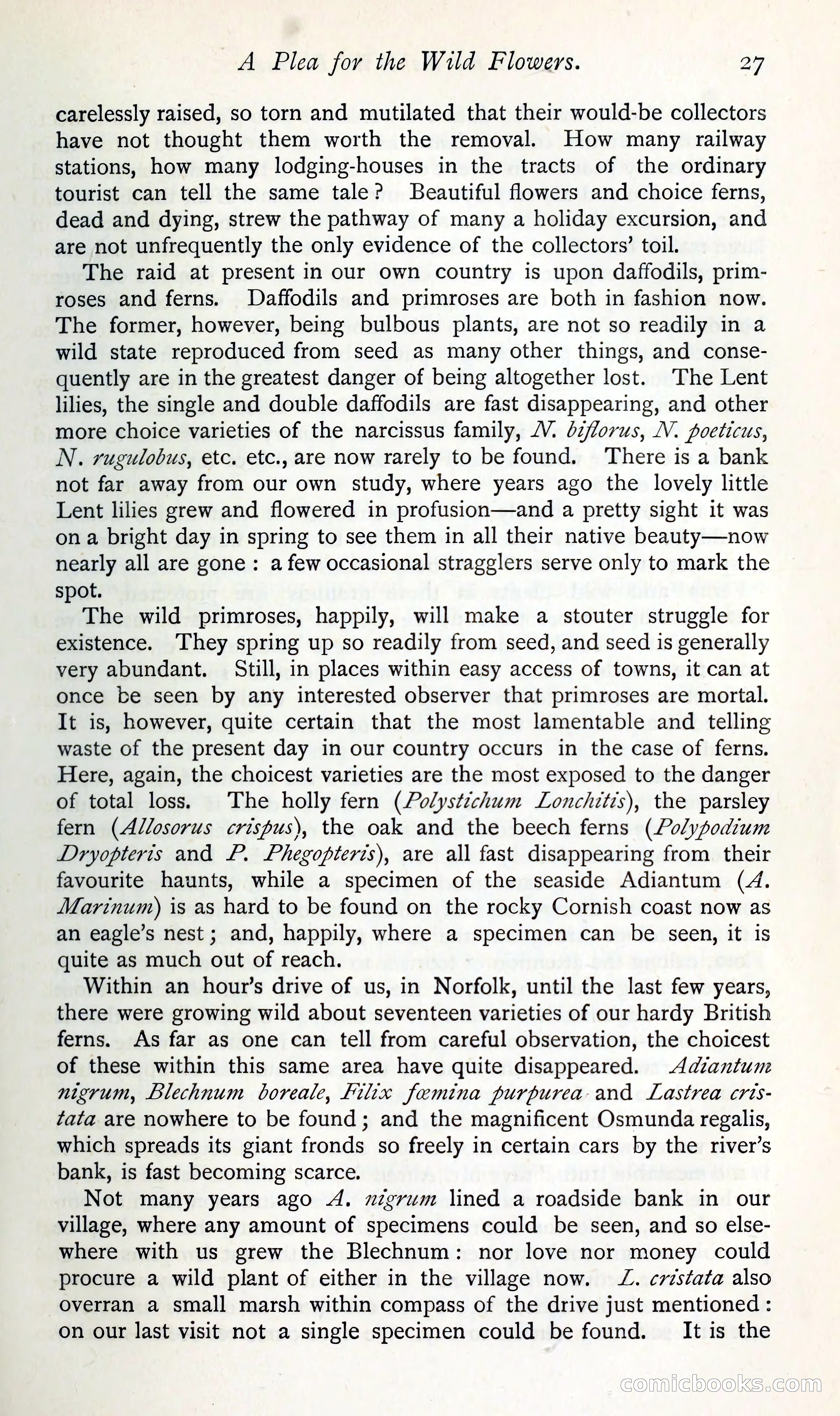 The Argosy — page 40 of 392