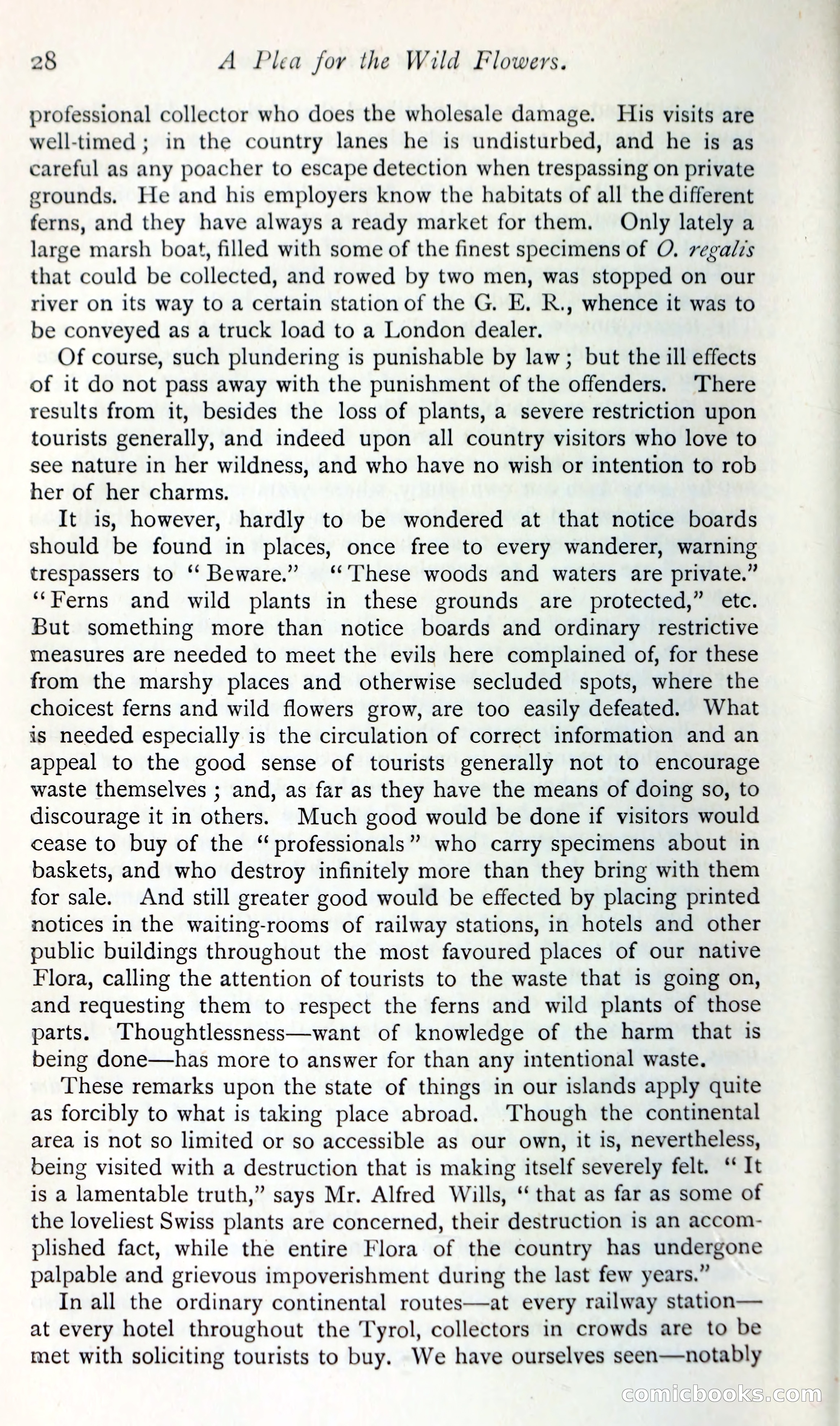 The Argosy — page 41 of 392