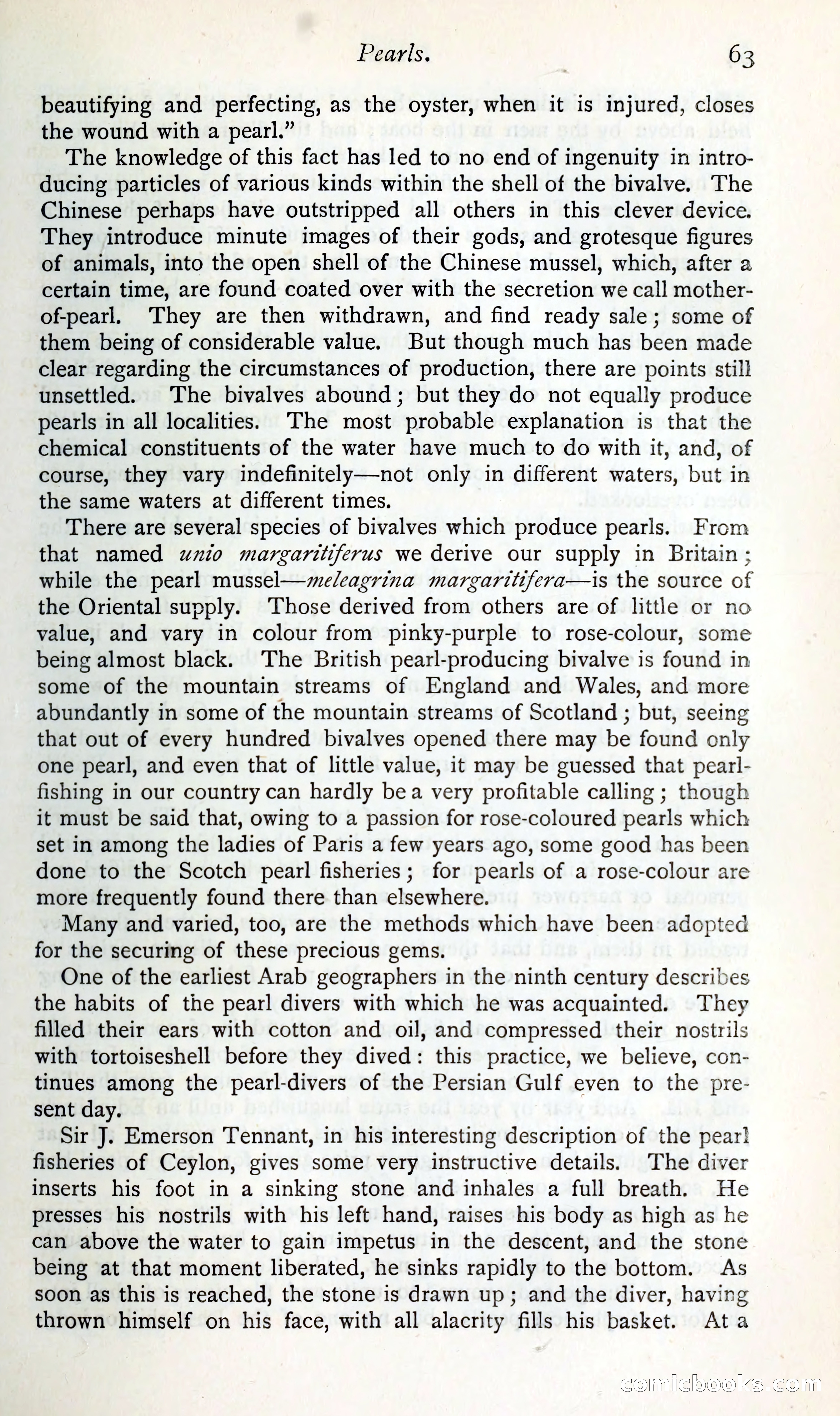 The Argosy — page 76 of 392