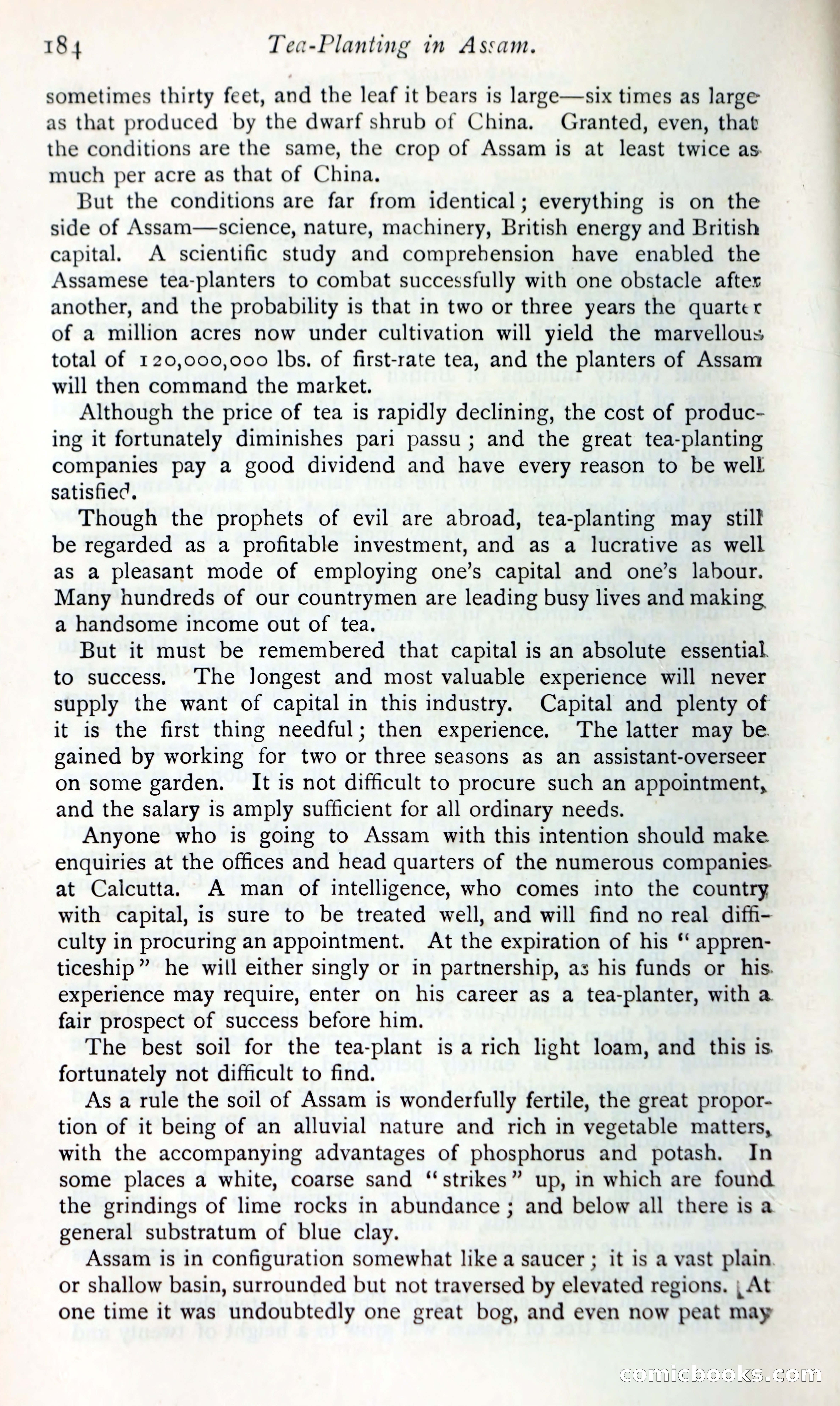 The Argosy — page 203 of 392