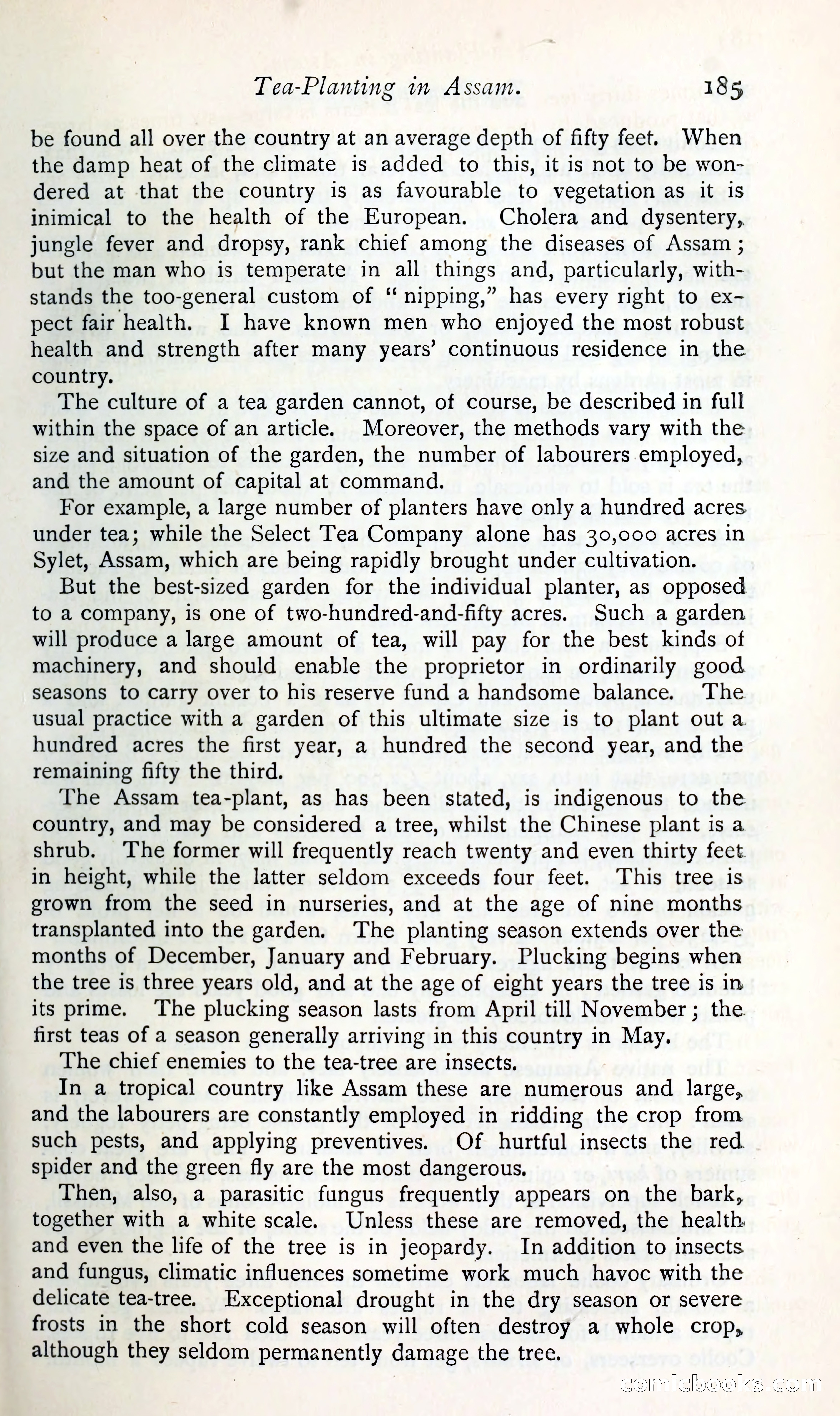 The Argosy — page 204 of 392