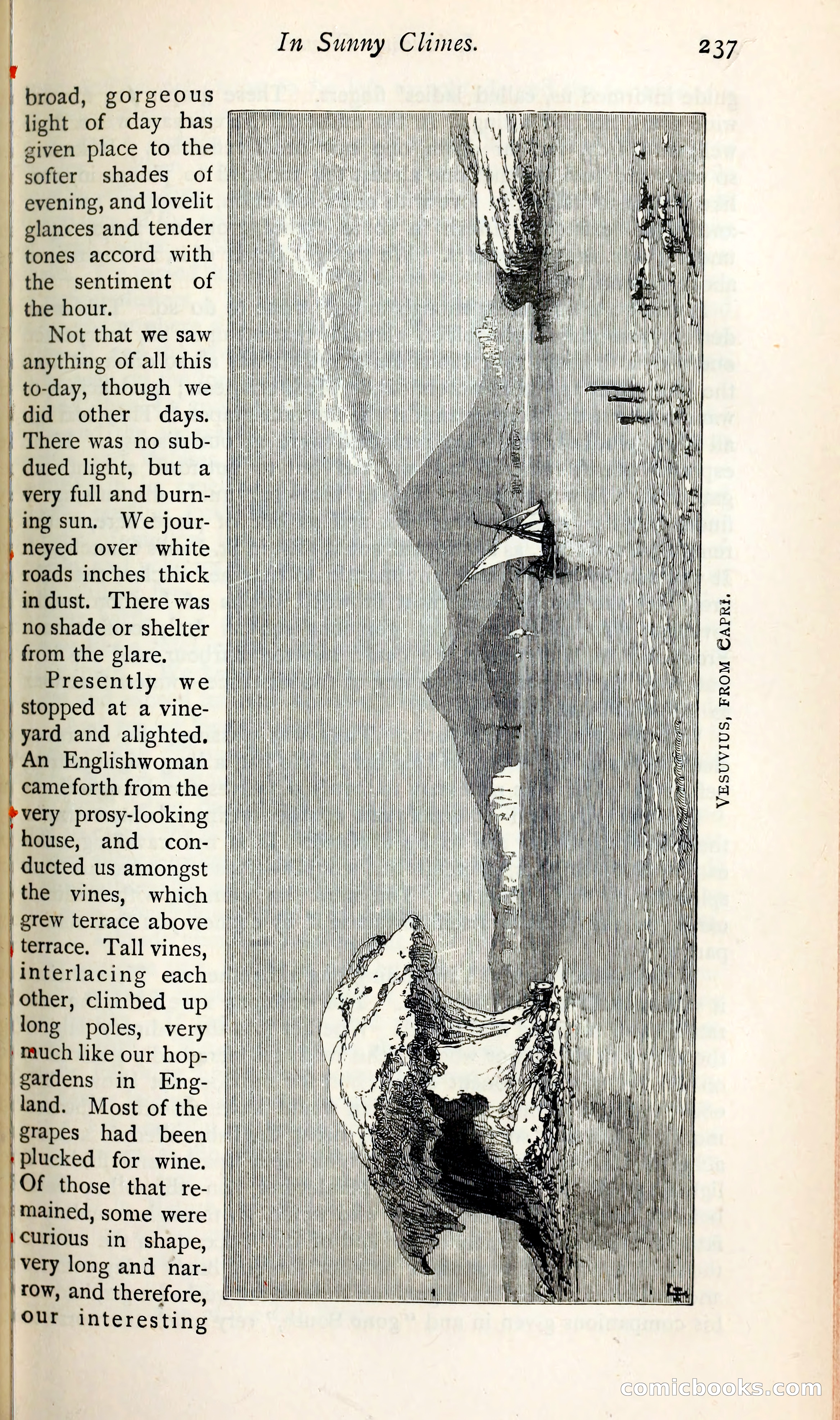 The Argosy — page 254 of 398
