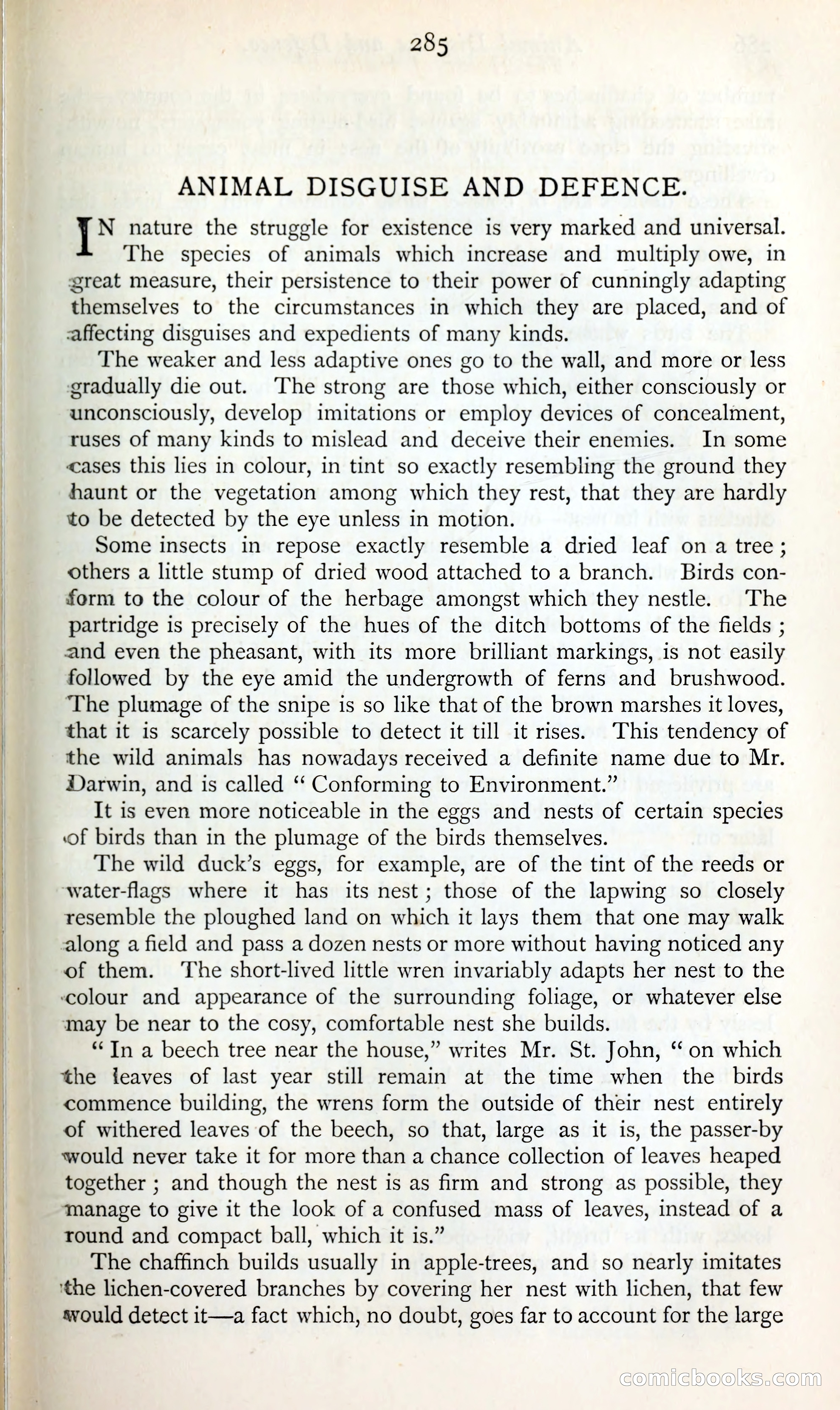 The Argosy — page 306 of 398