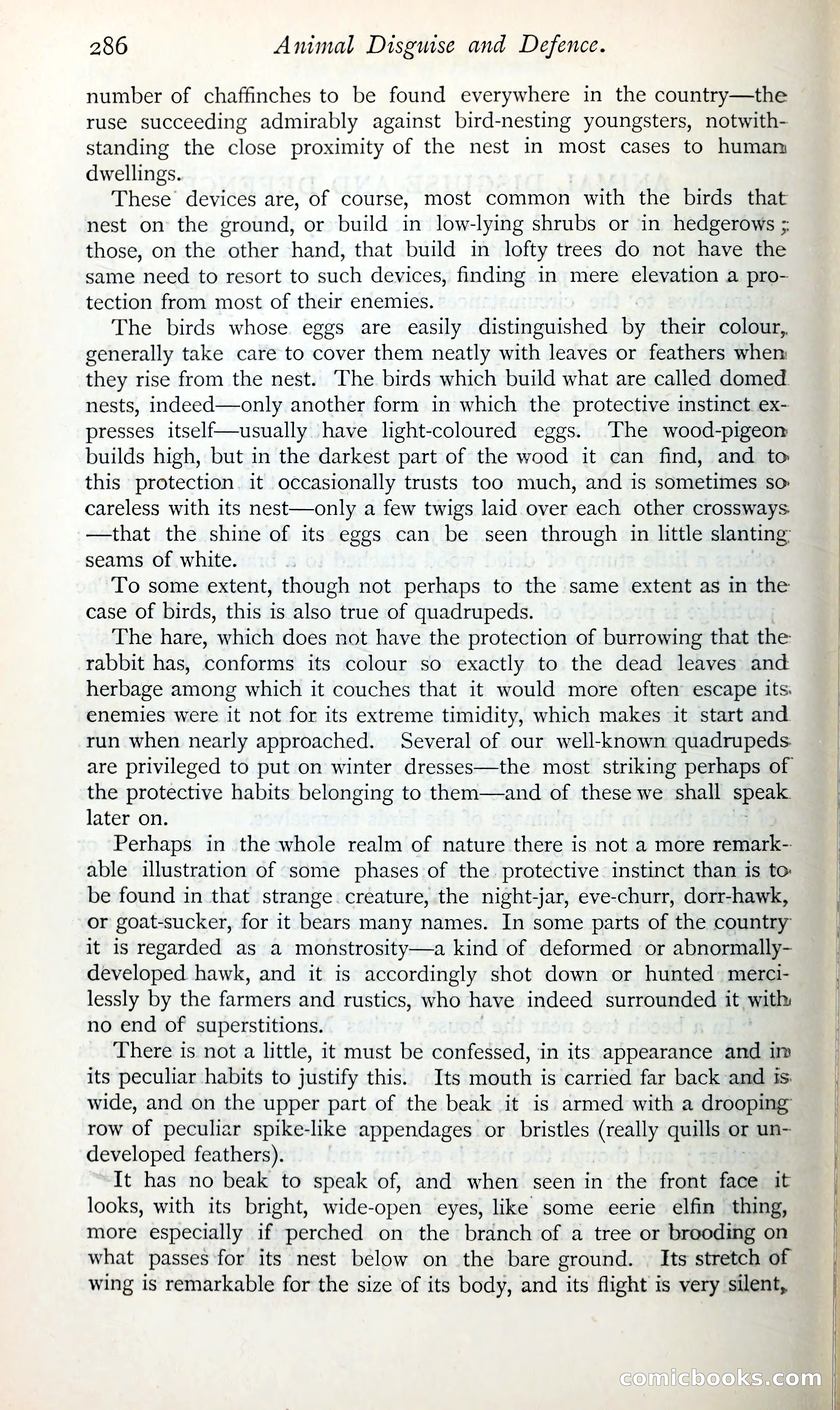 The Argosy — page 307 of 398