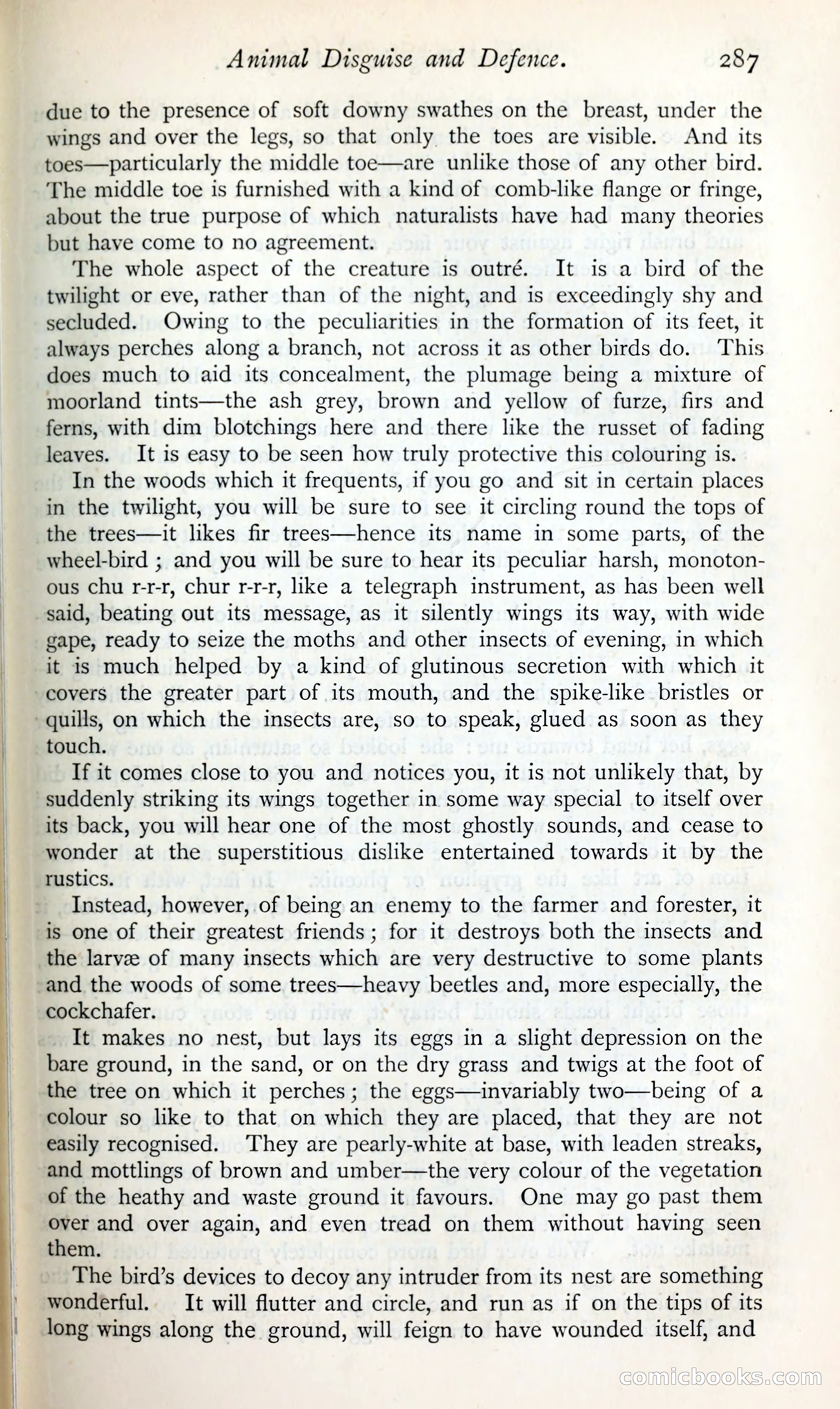 The Argosy — page 308 of 398