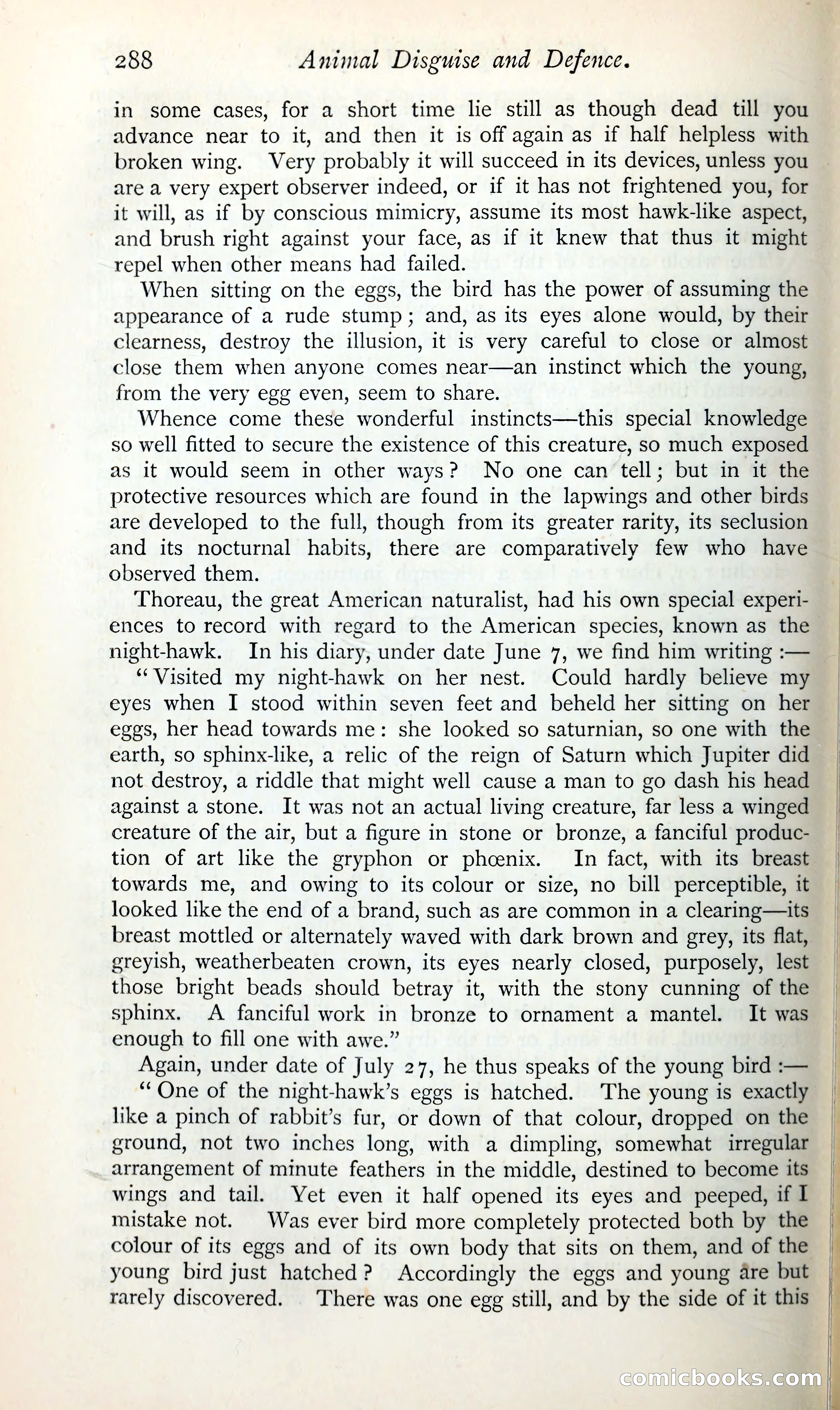 The Argosy — page 309 of 398