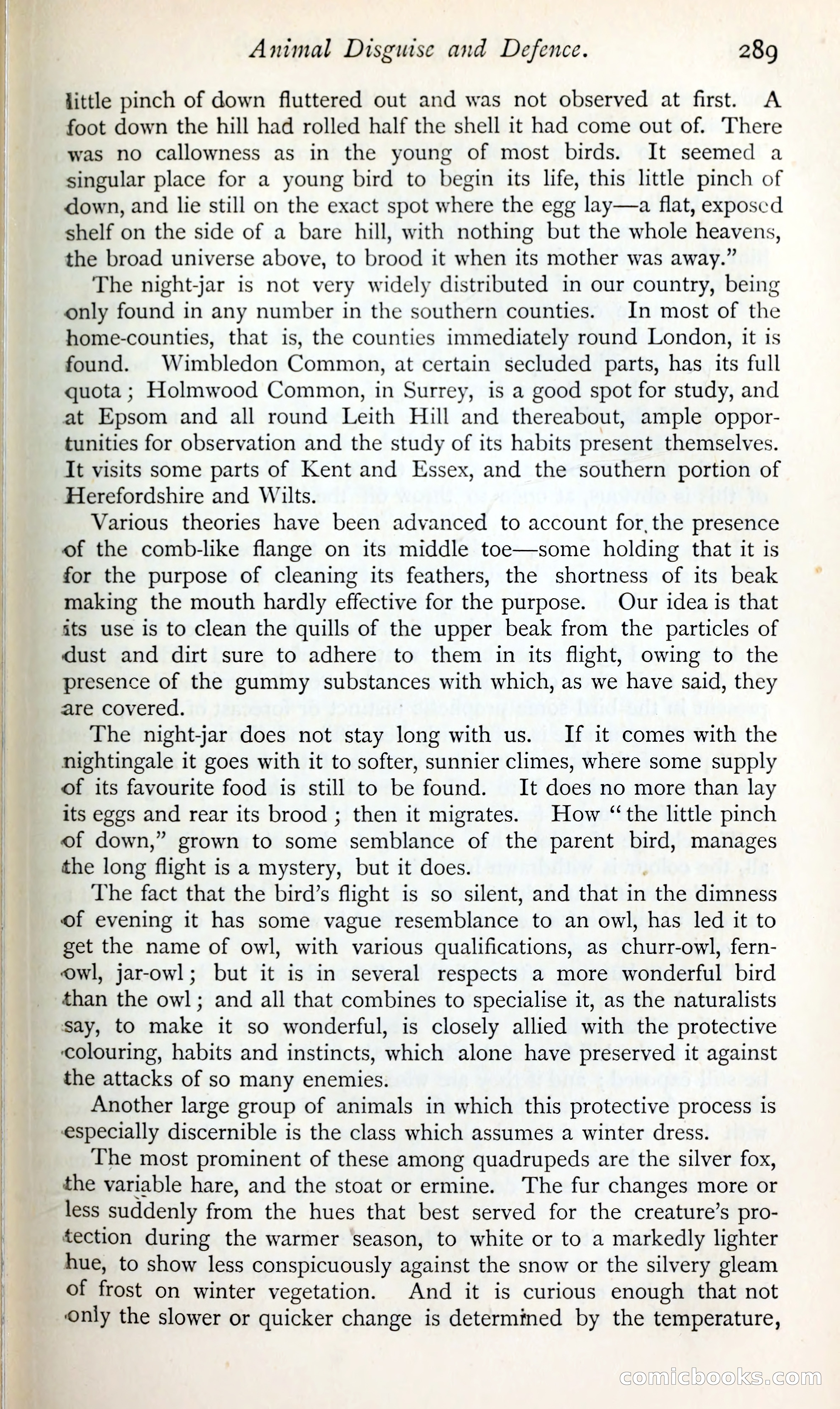 The Argosy — page 310 of 398