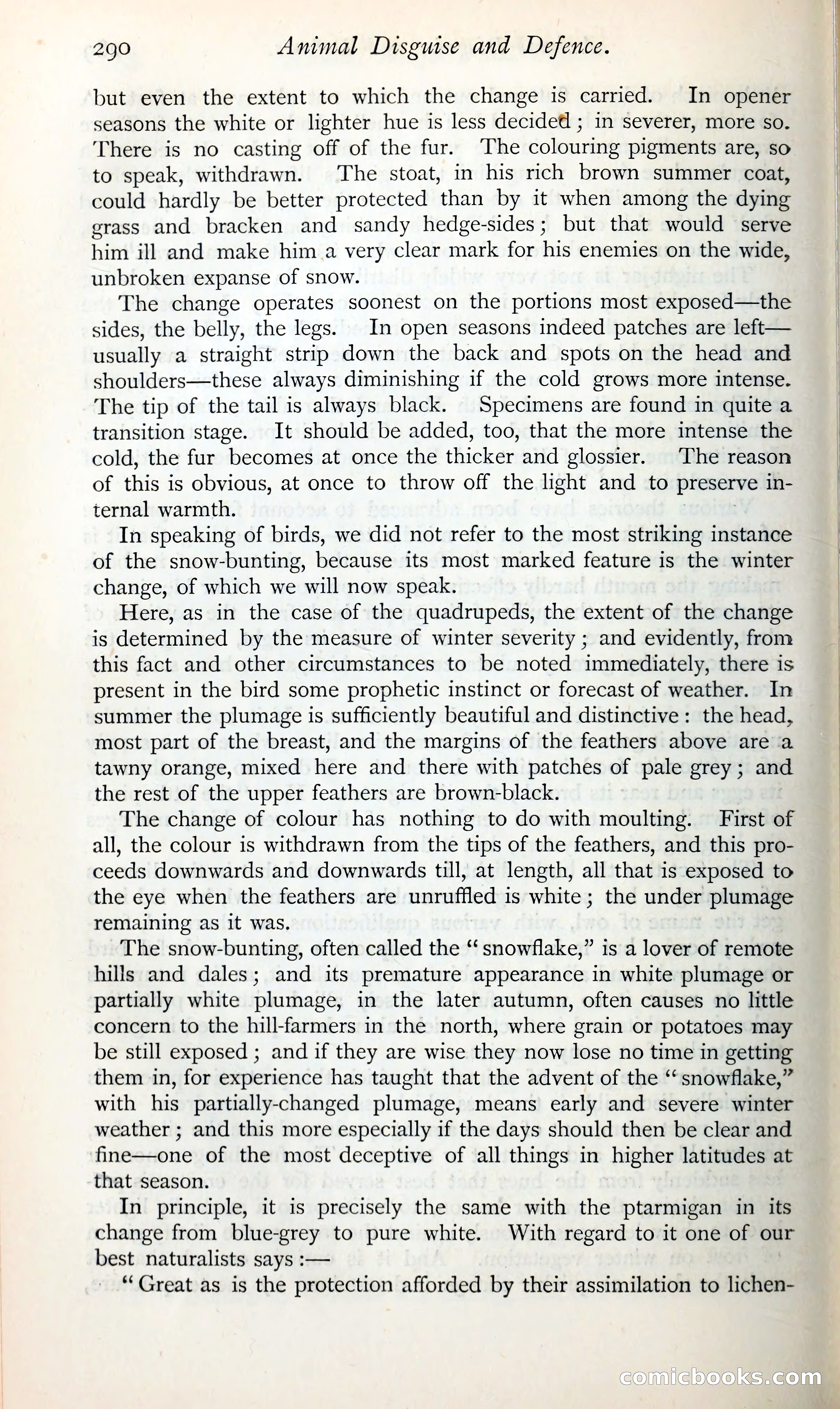 The Argosy — page 311 of 398