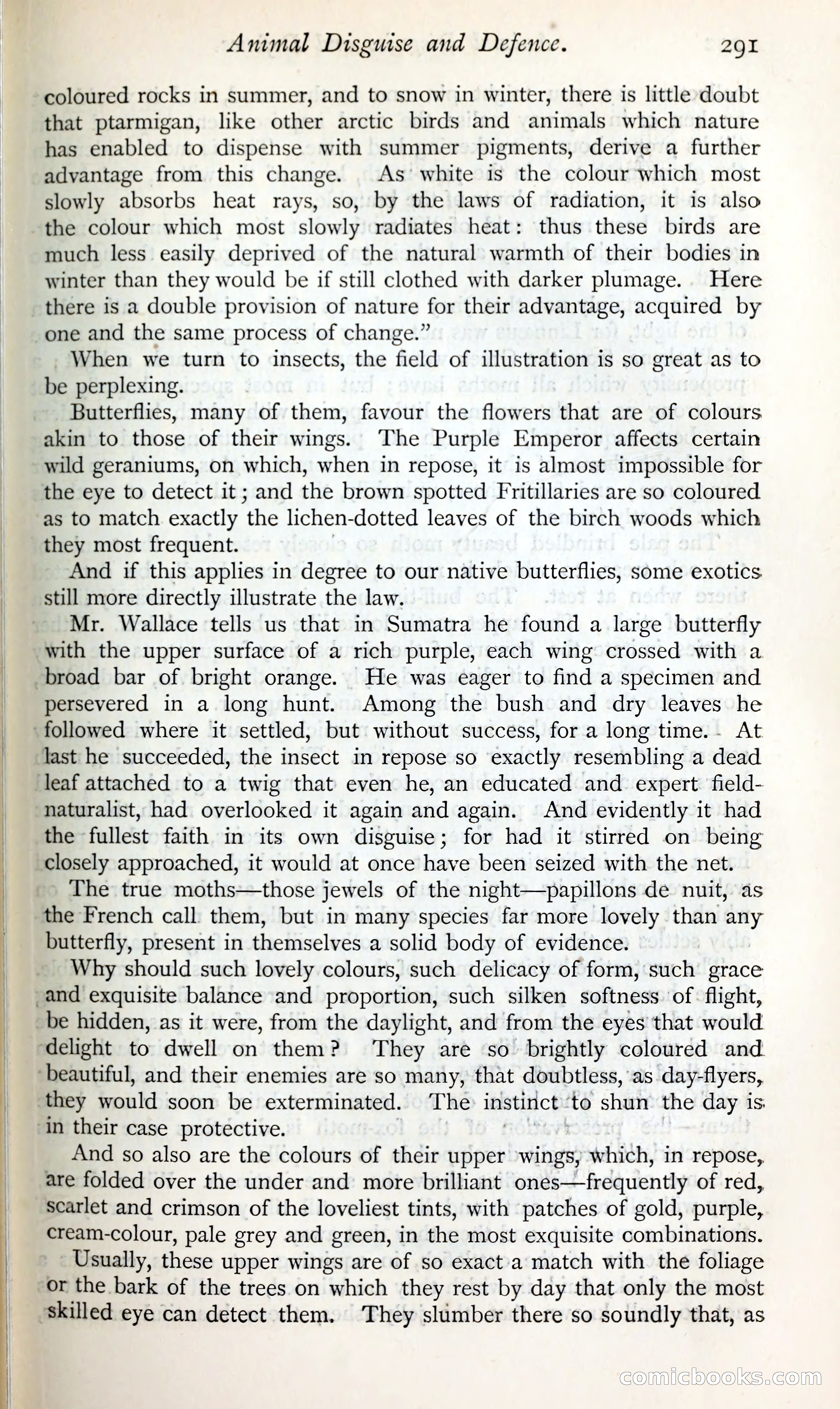 The Argosy — page 312 of 398