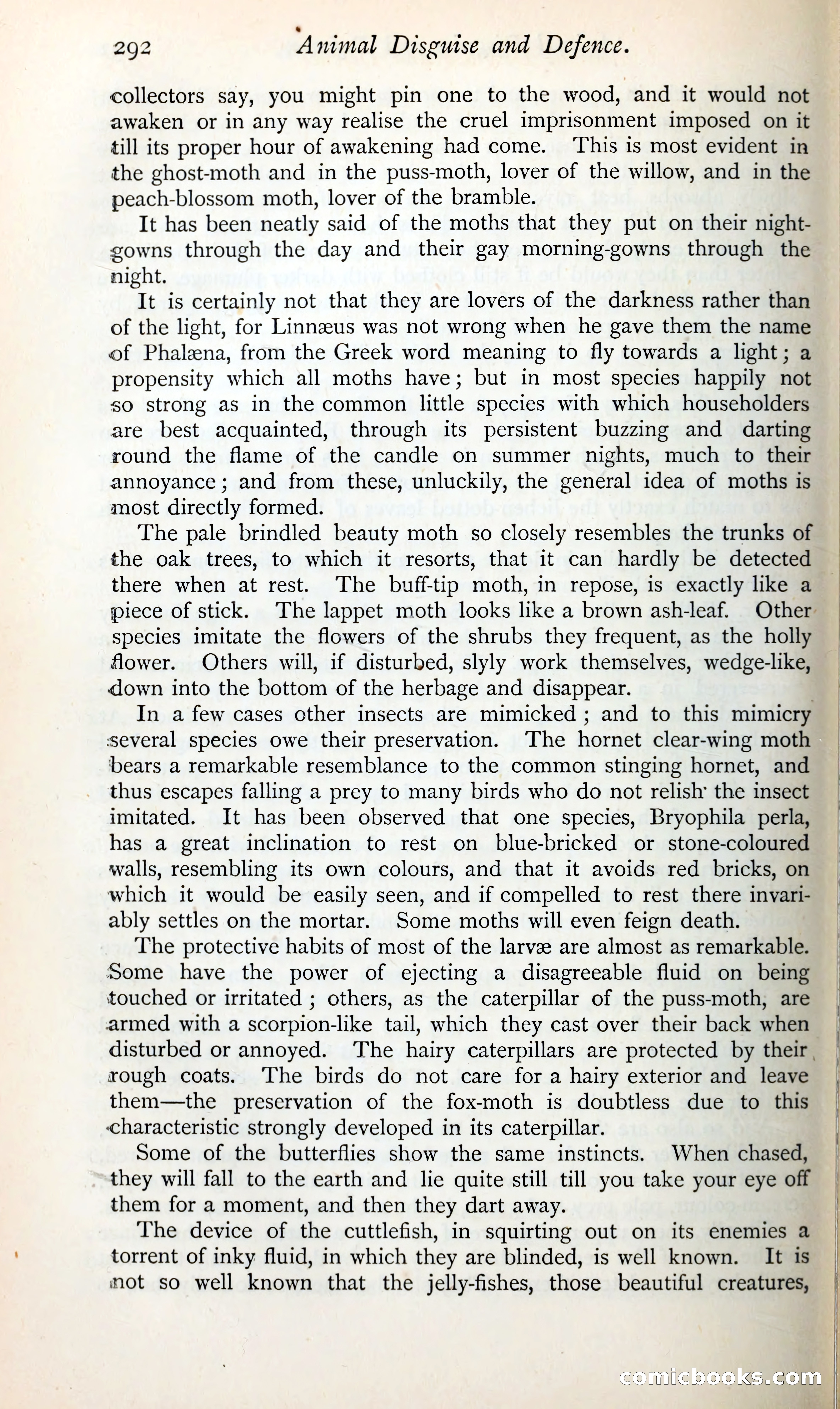The Argosy — page 313 of 398