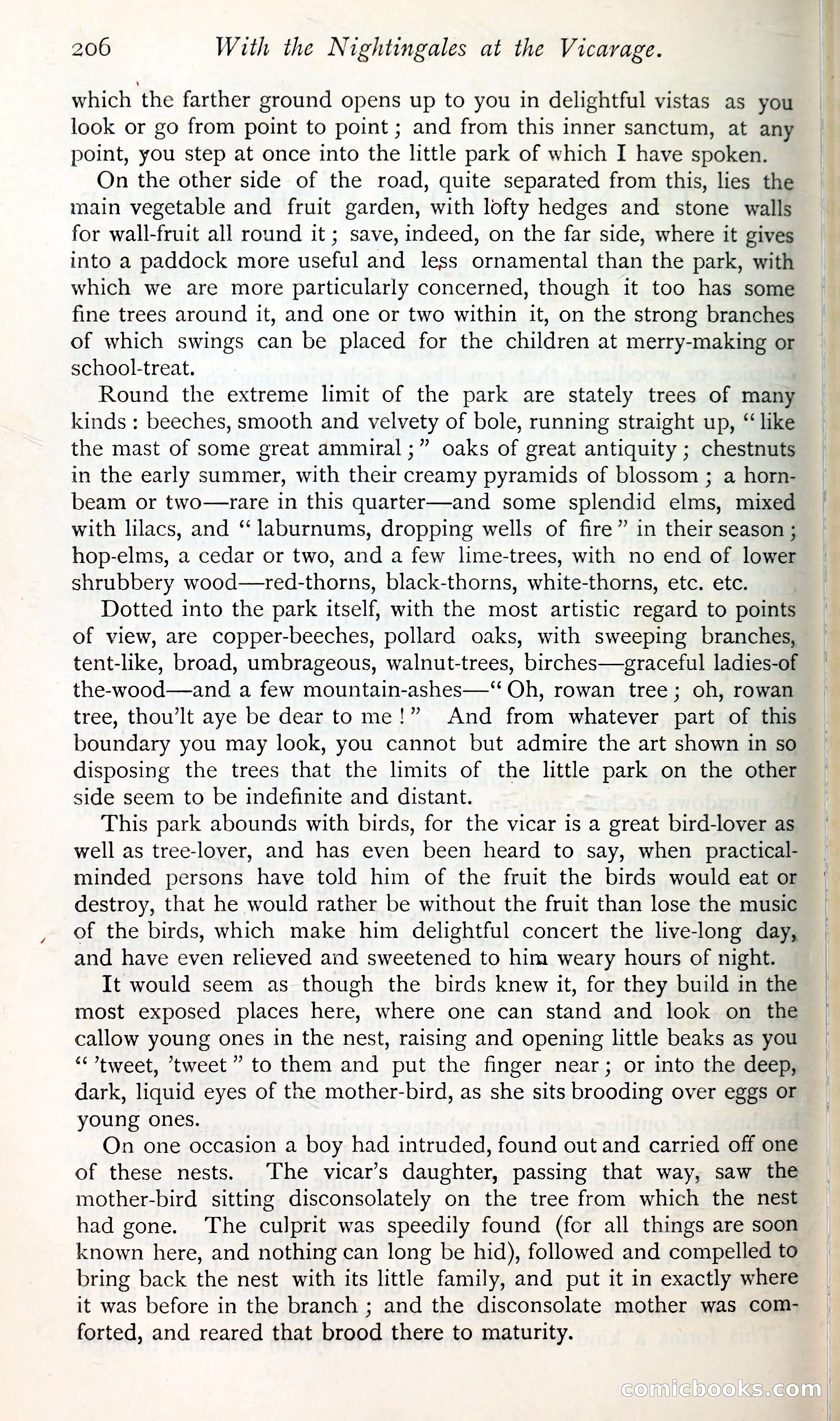 The Argosy — page 225 of 398
