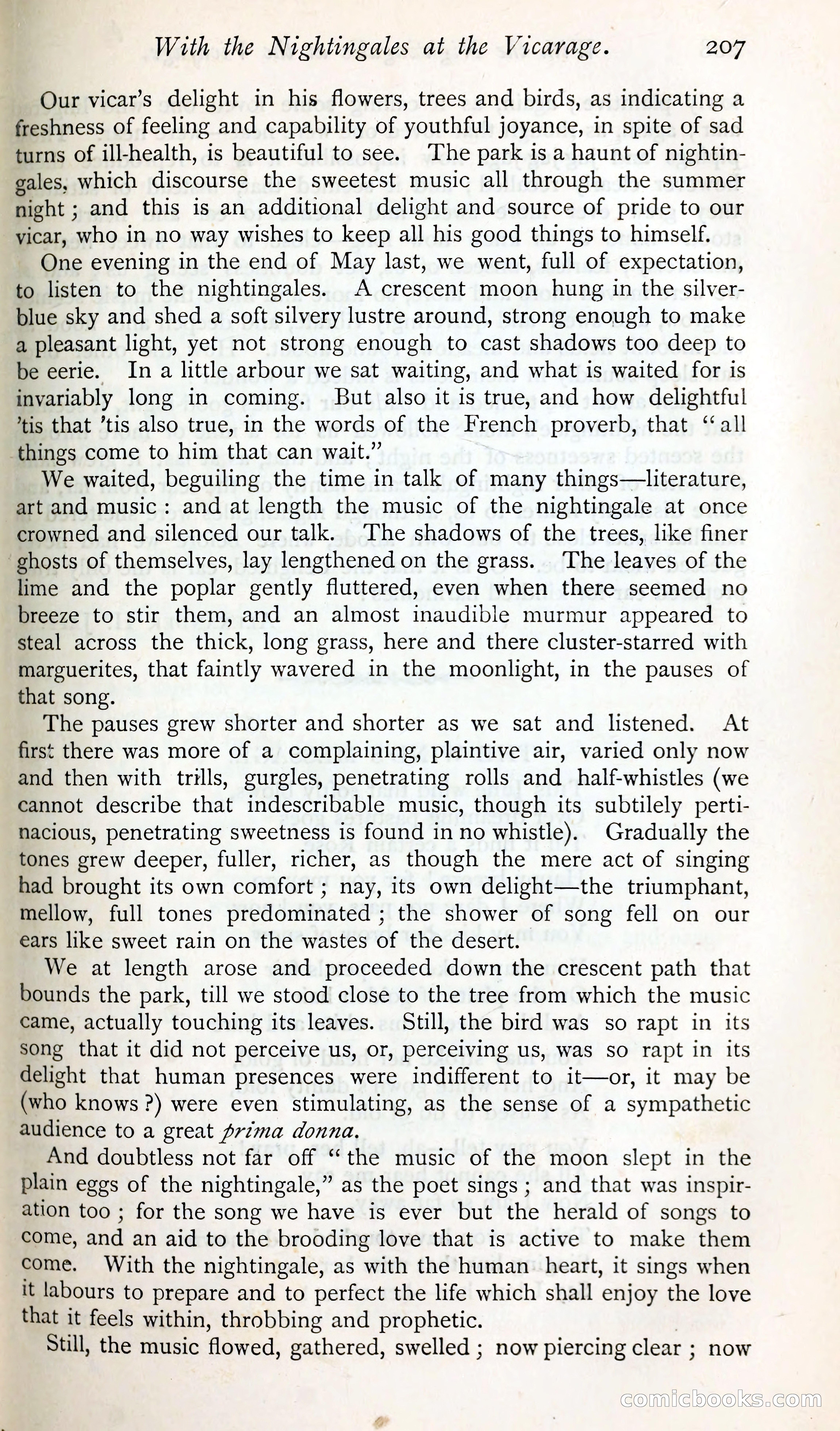 The Argosy — page 226 of 398