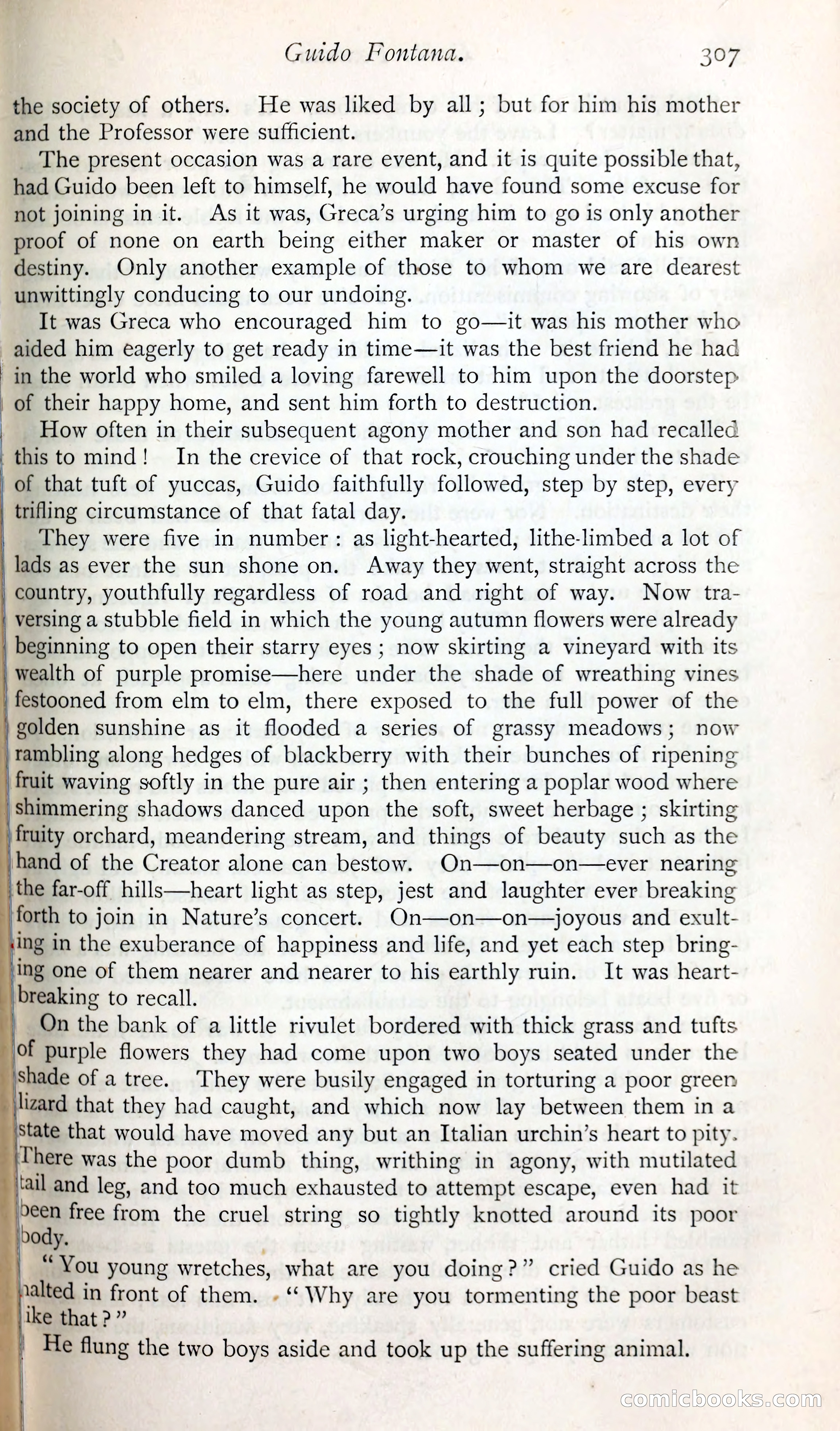 The Argosy — page 330 of 398