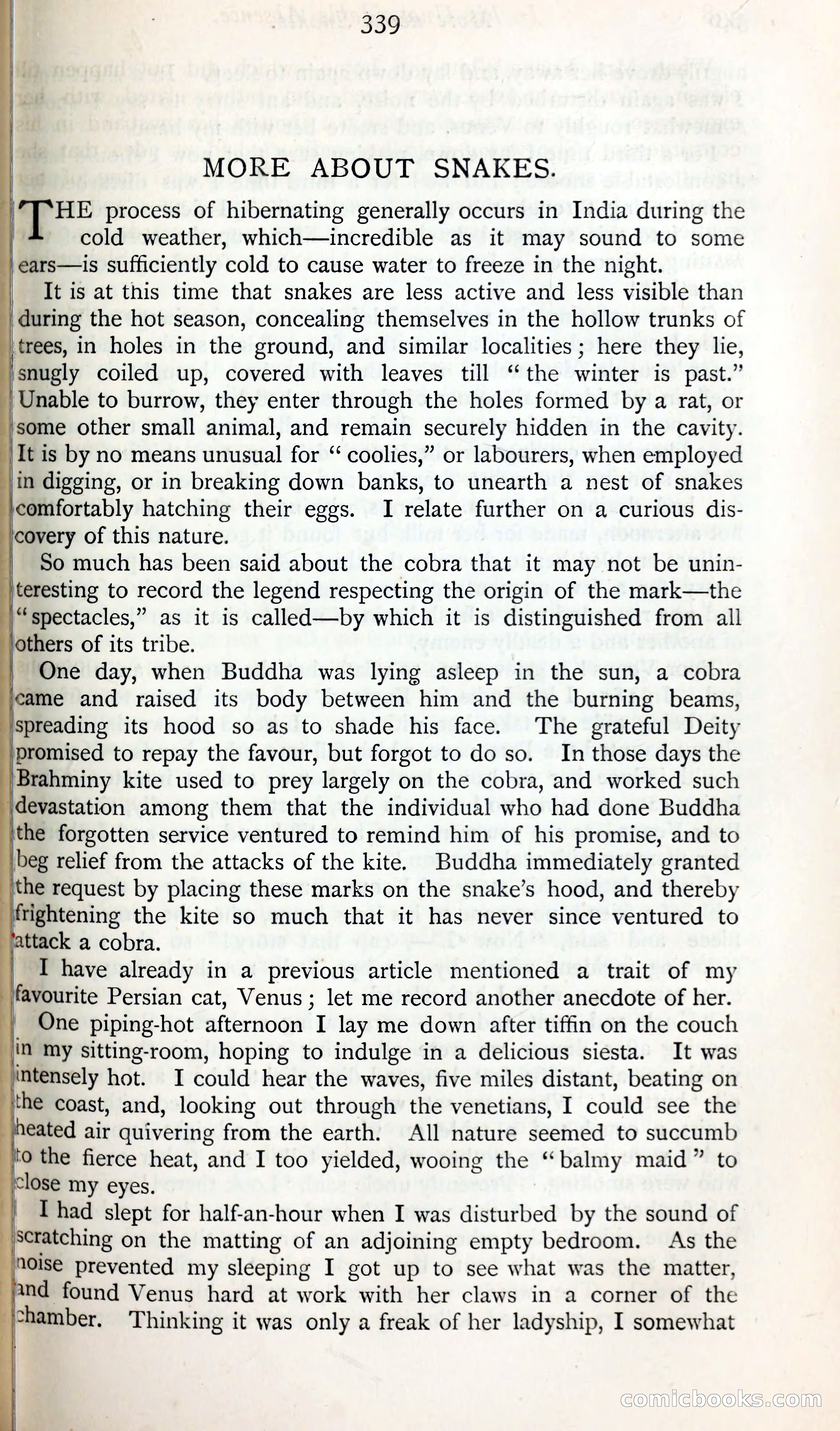 The Argosy — page 362 of 398