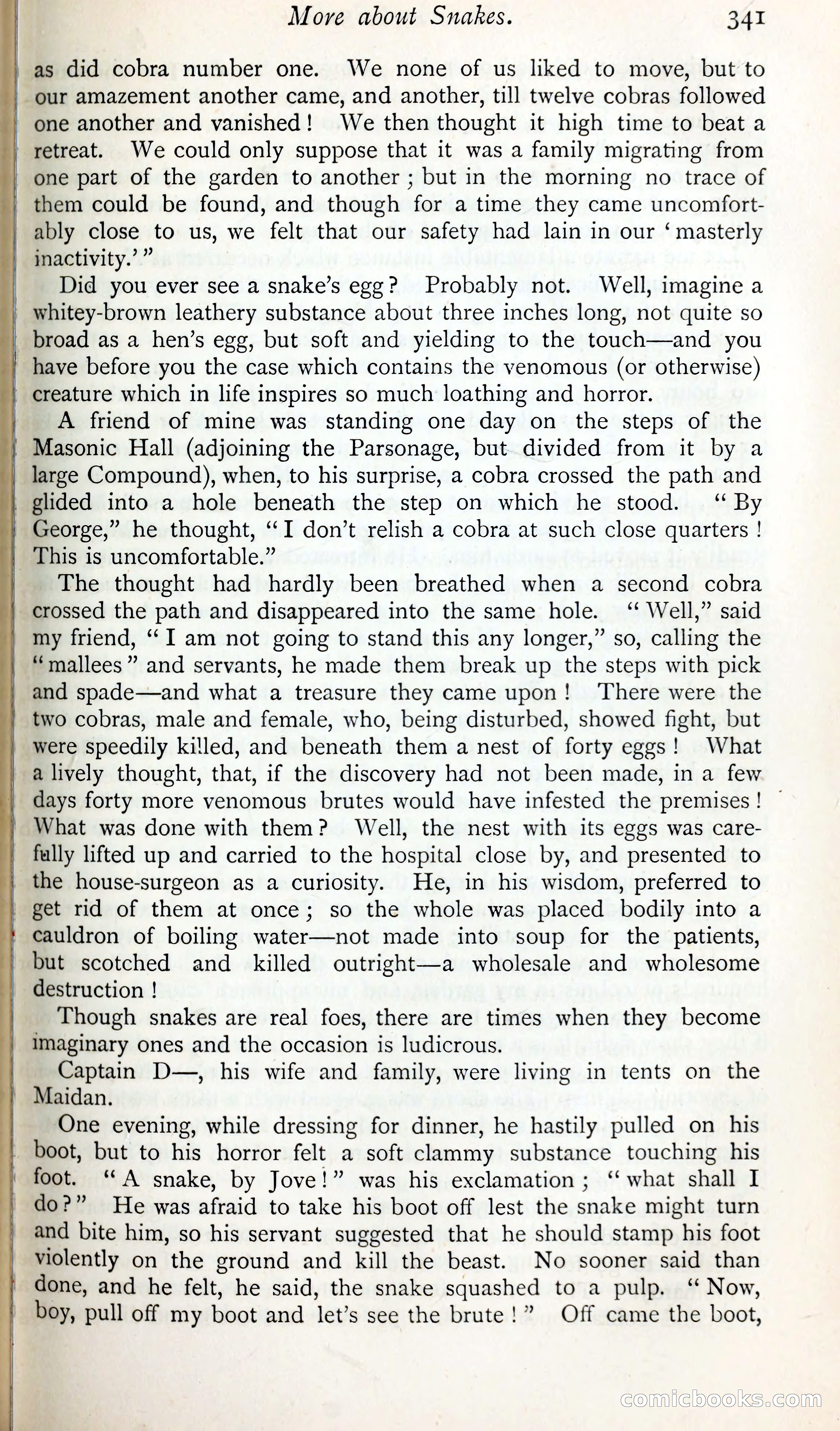 The Argosy — page 364 of 398
