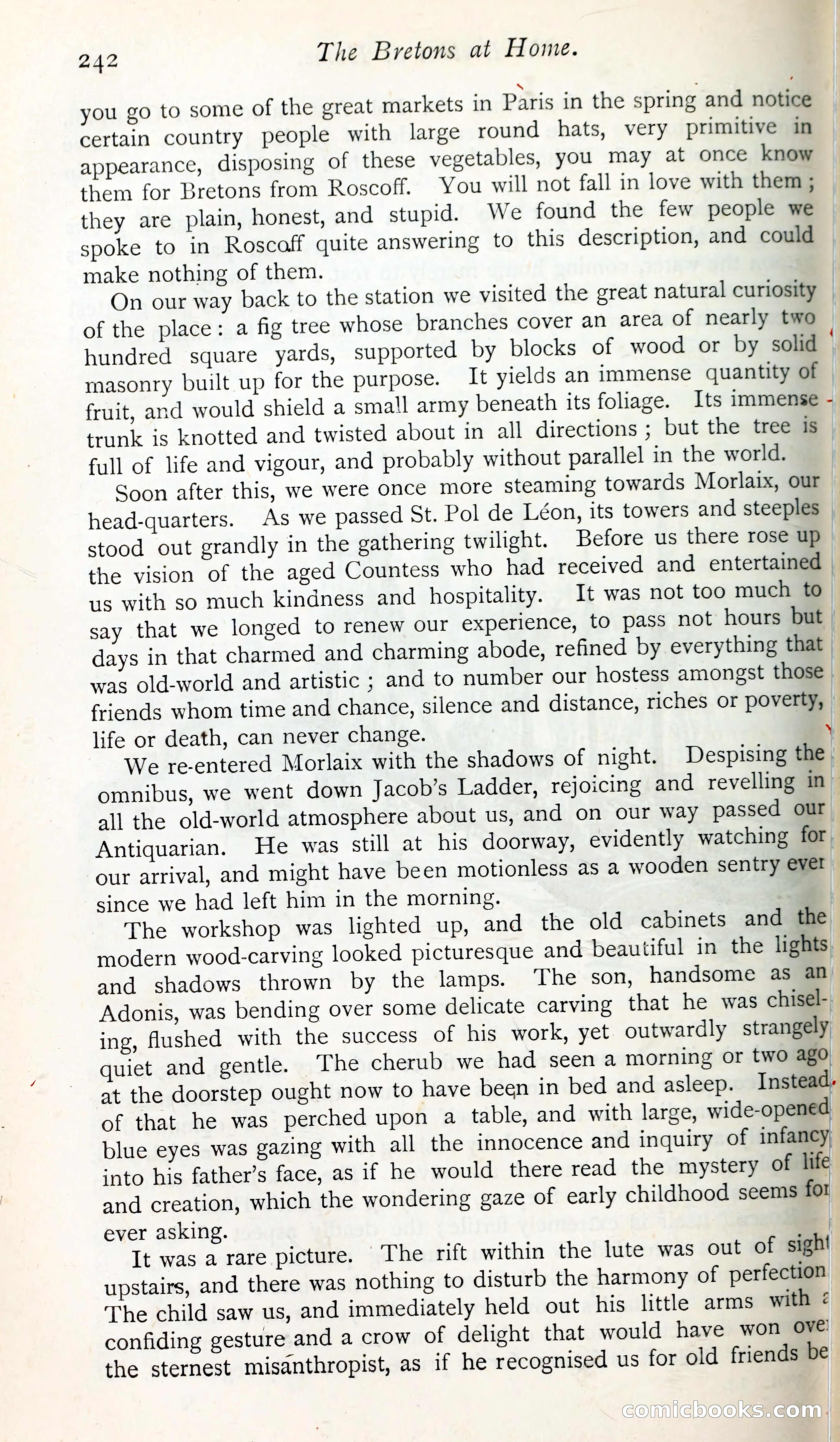 The Argosy — page 259 of 398