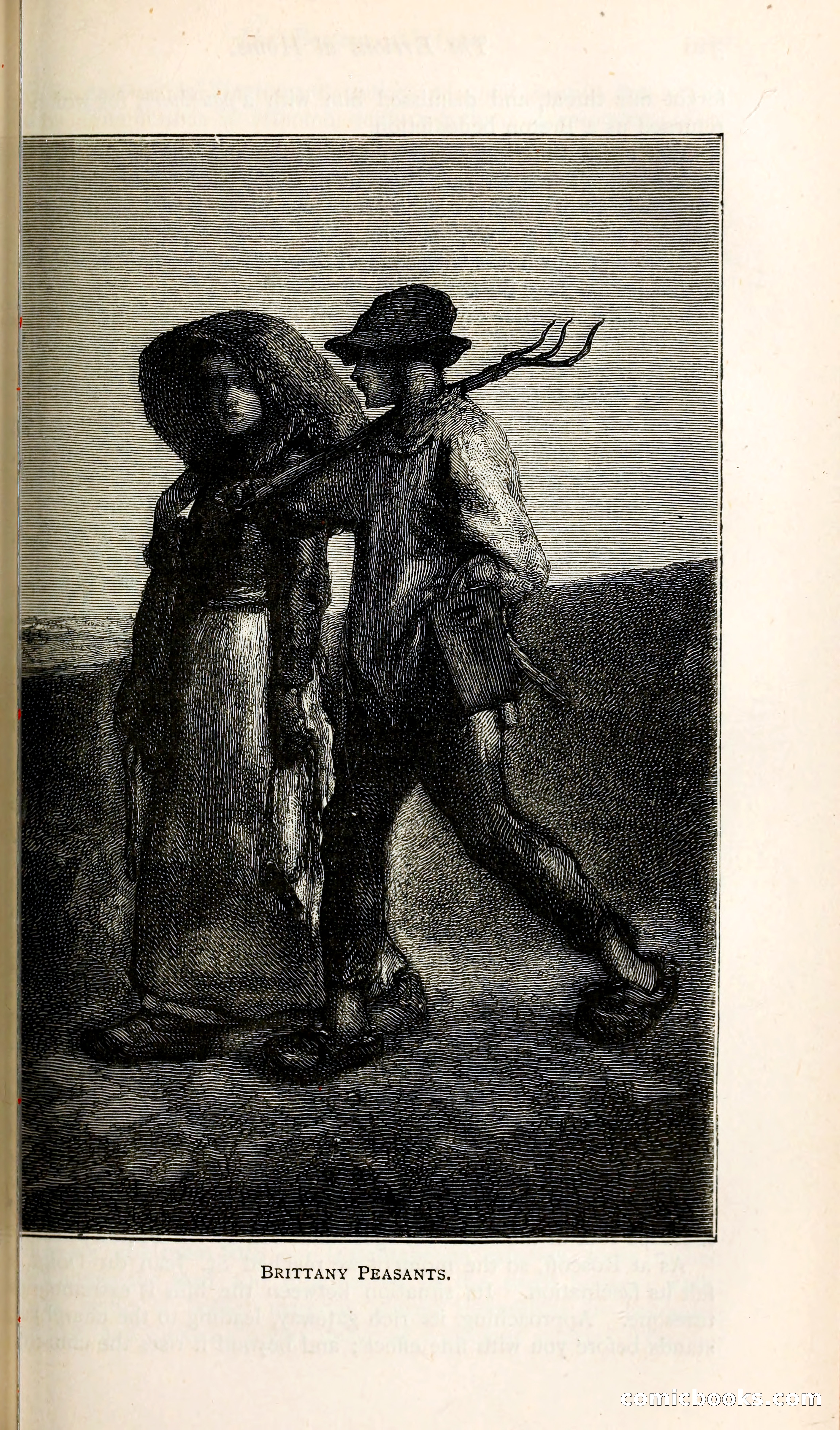 The Argosy — page 344 of 398
