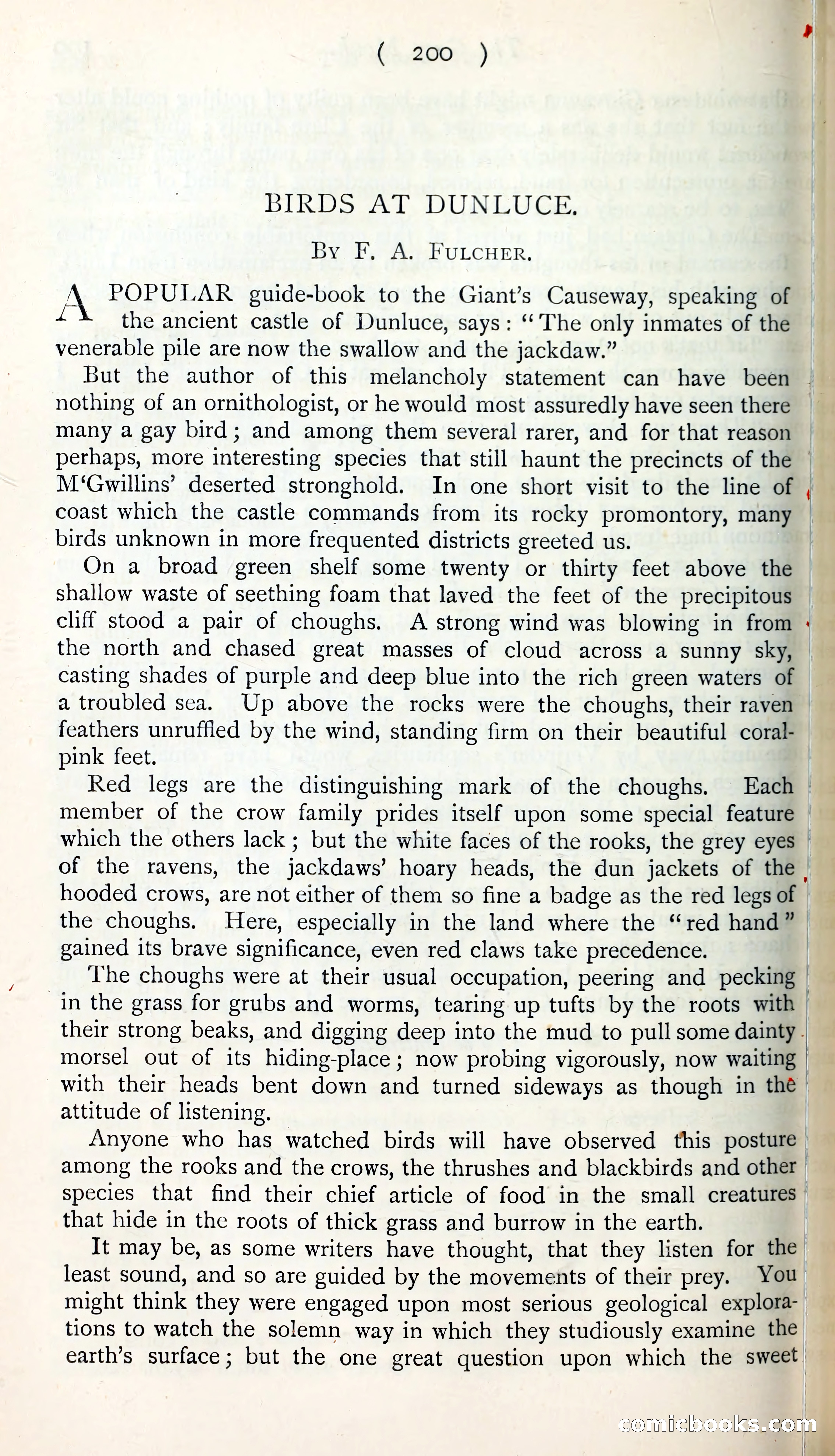 The Argosy — page 221 of 398