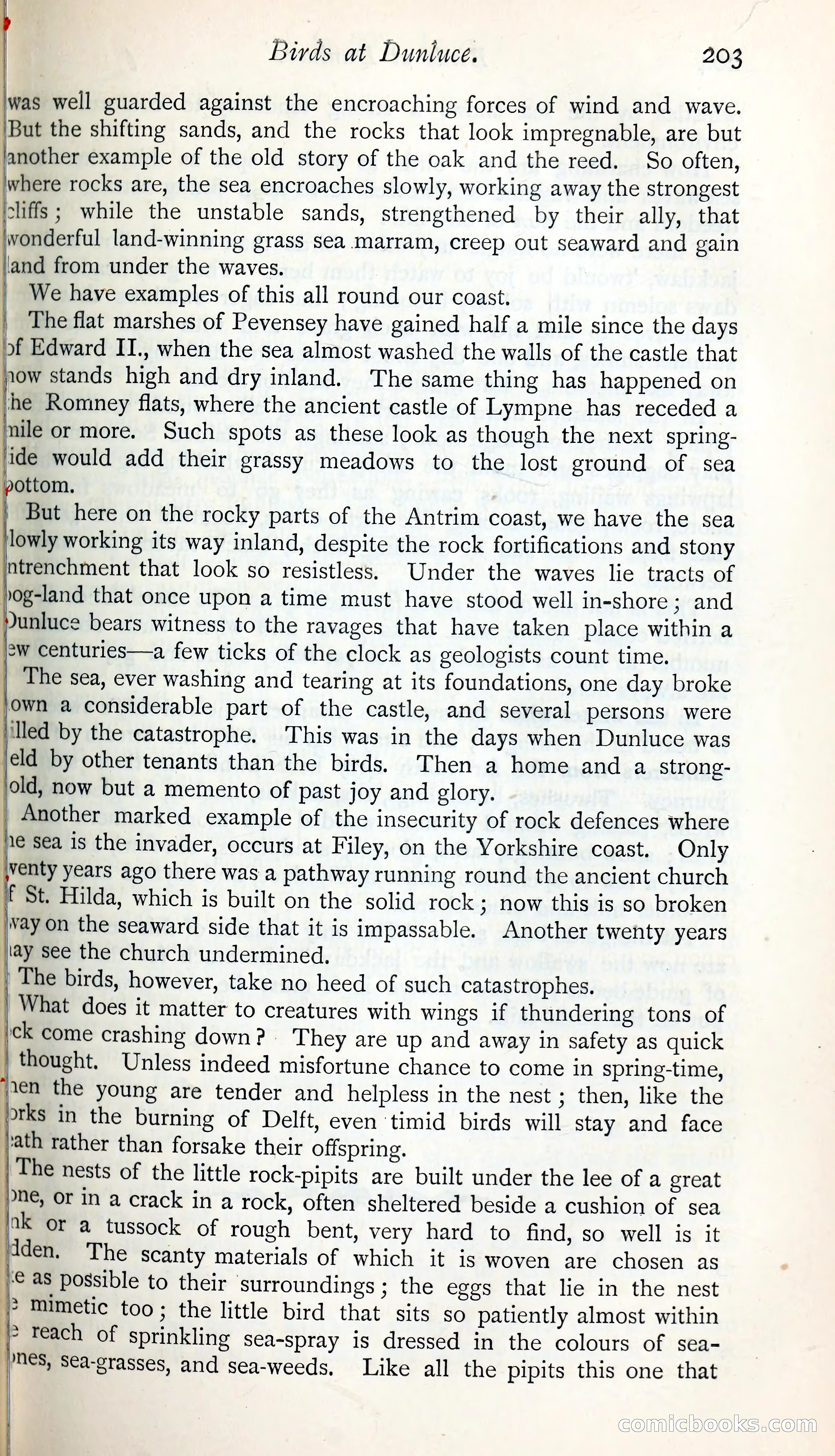 The Argosy — page 224 of 398