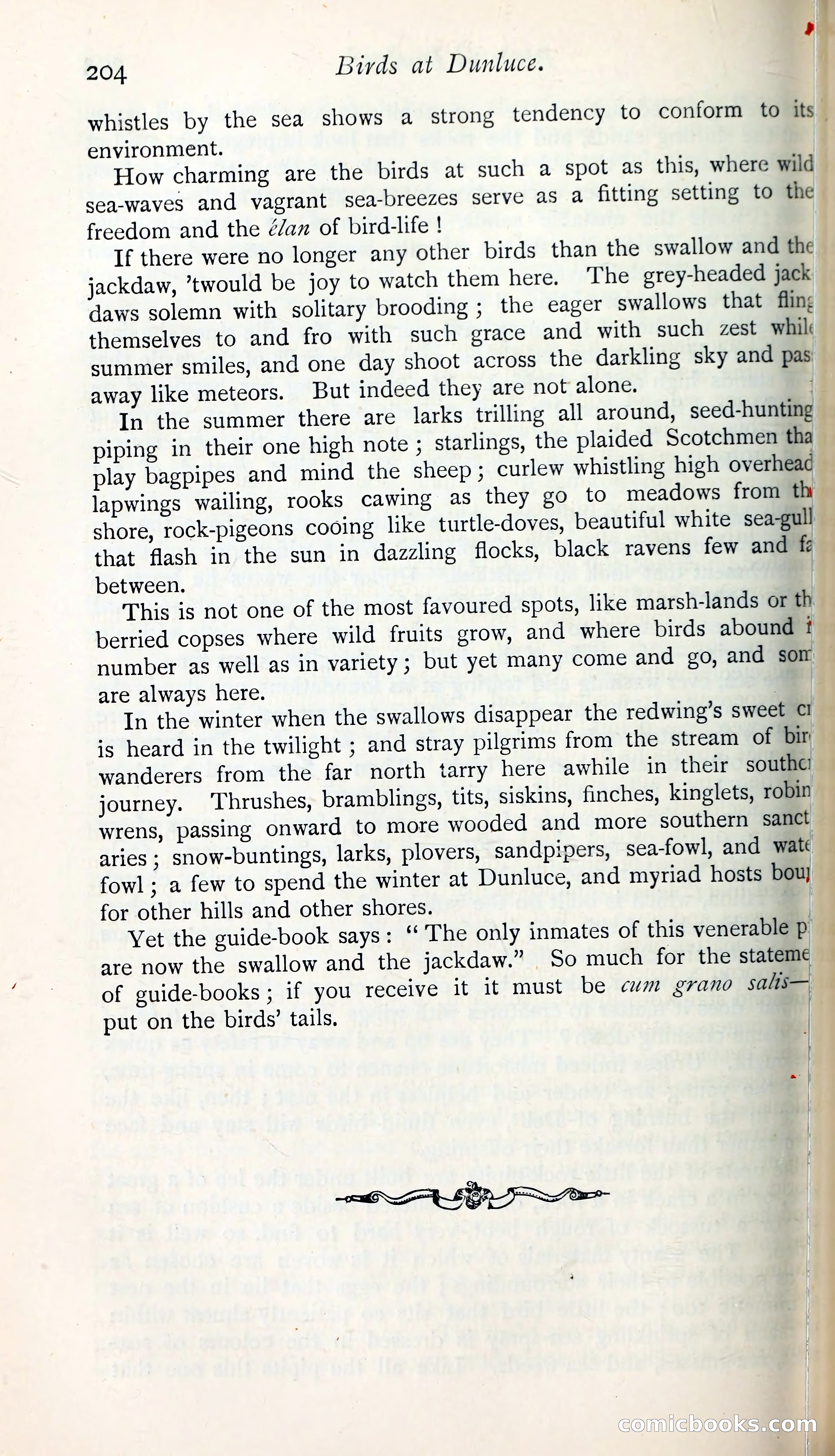The Argosy — page 225 of 398