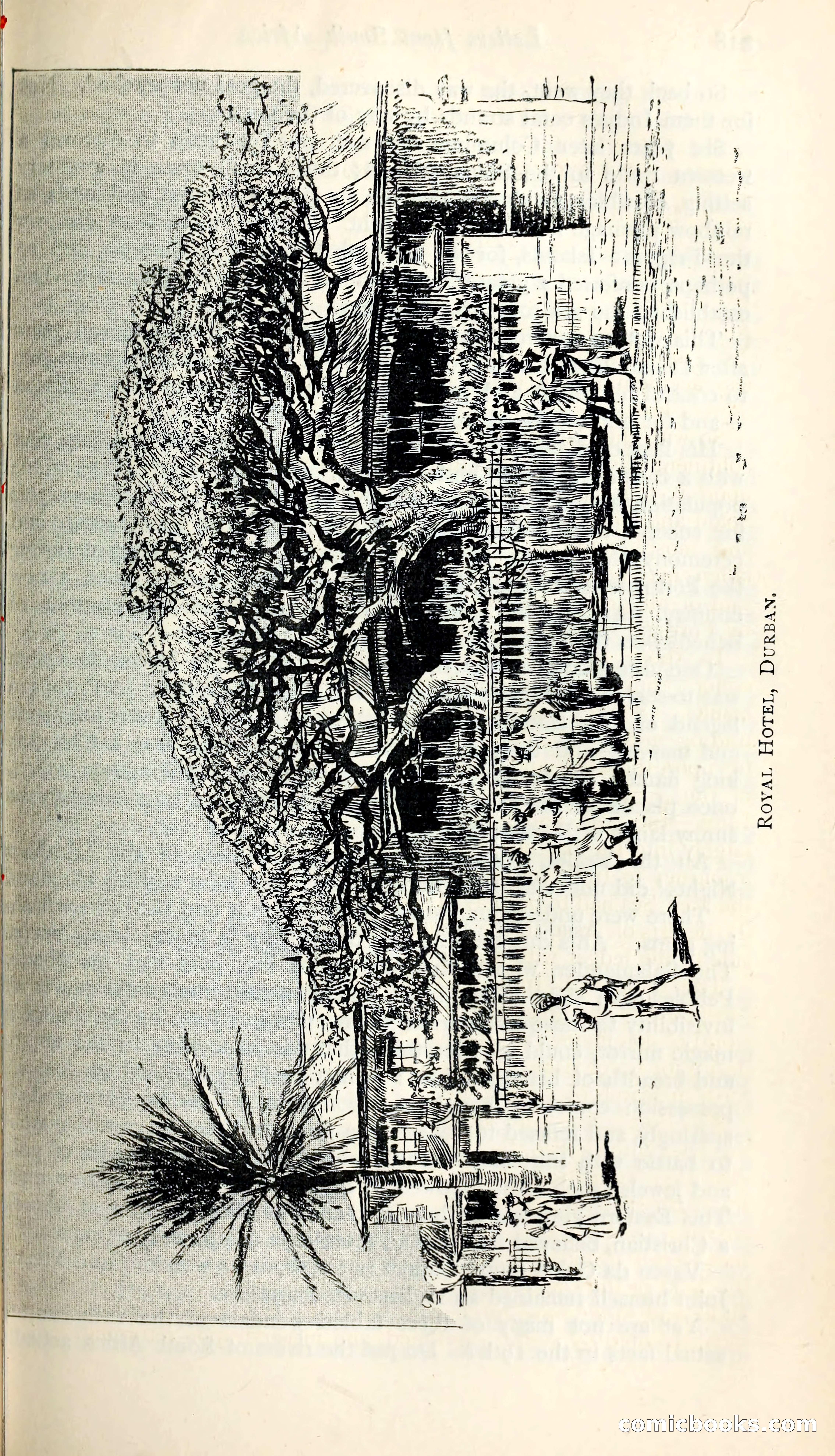 The Argosy — page 238 of 398