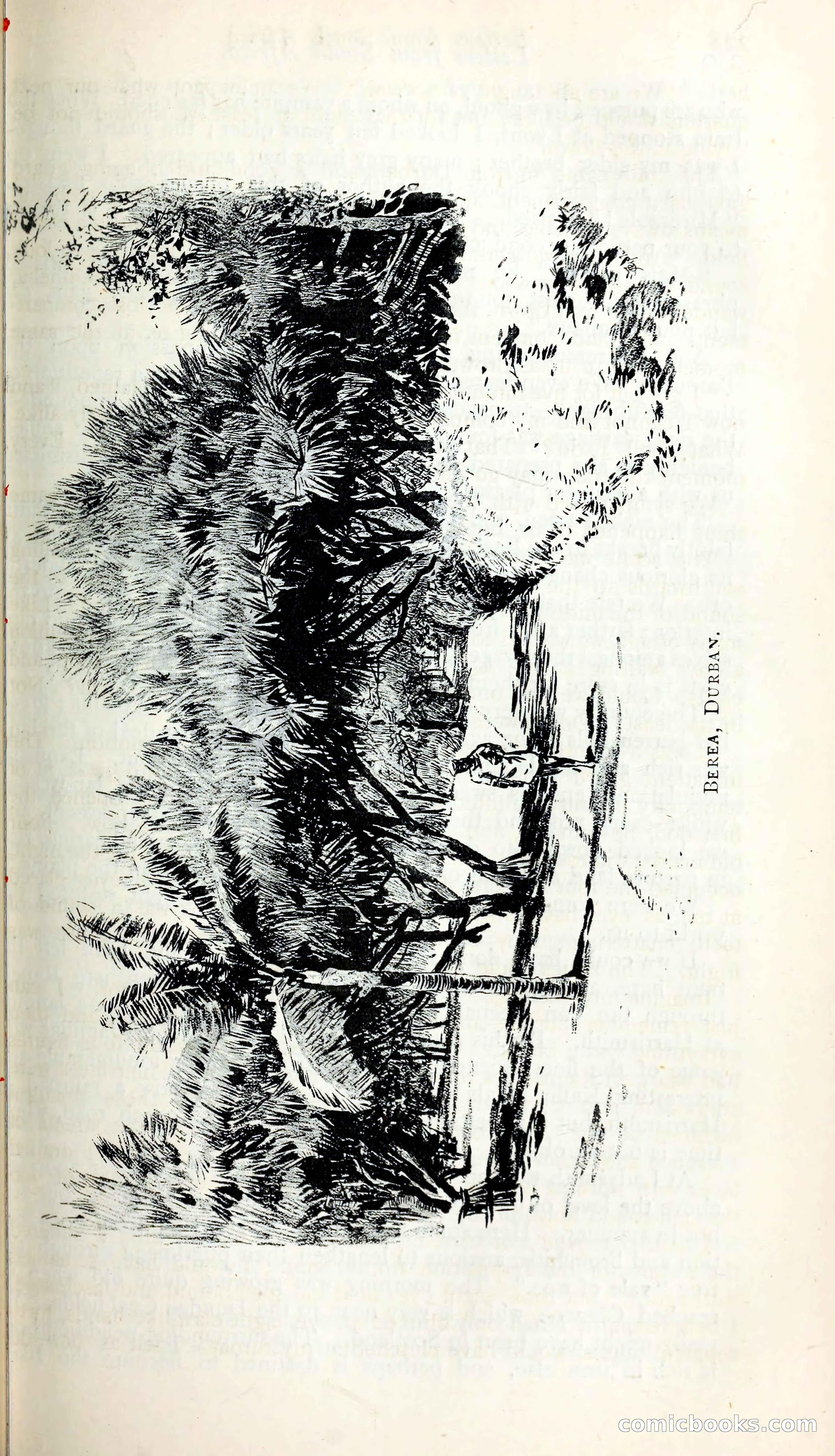 The Argosy — page 250 of 398