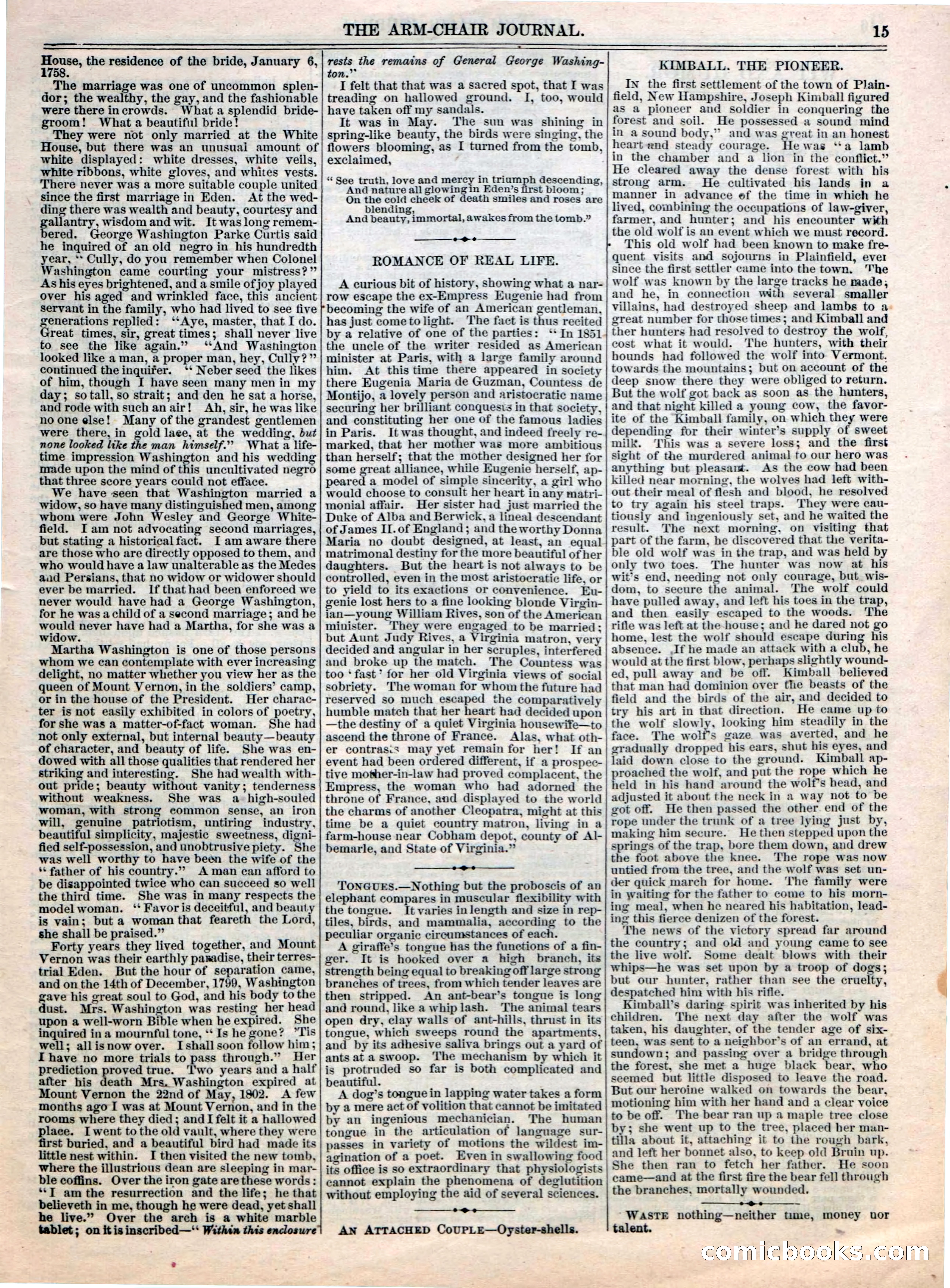 The Arm Chair Library, No. 2 — page 17 of 52