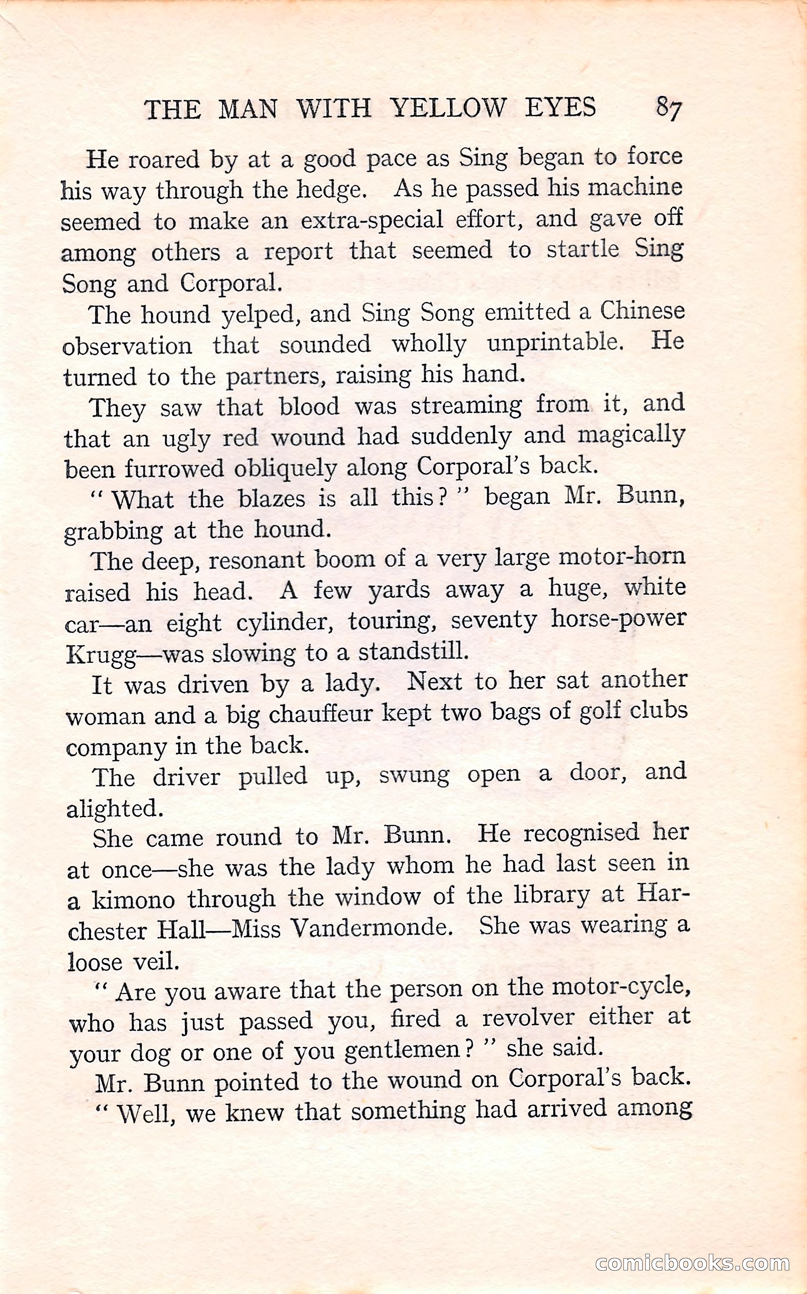 The Man with Yellow Eyes — page 87 of 255