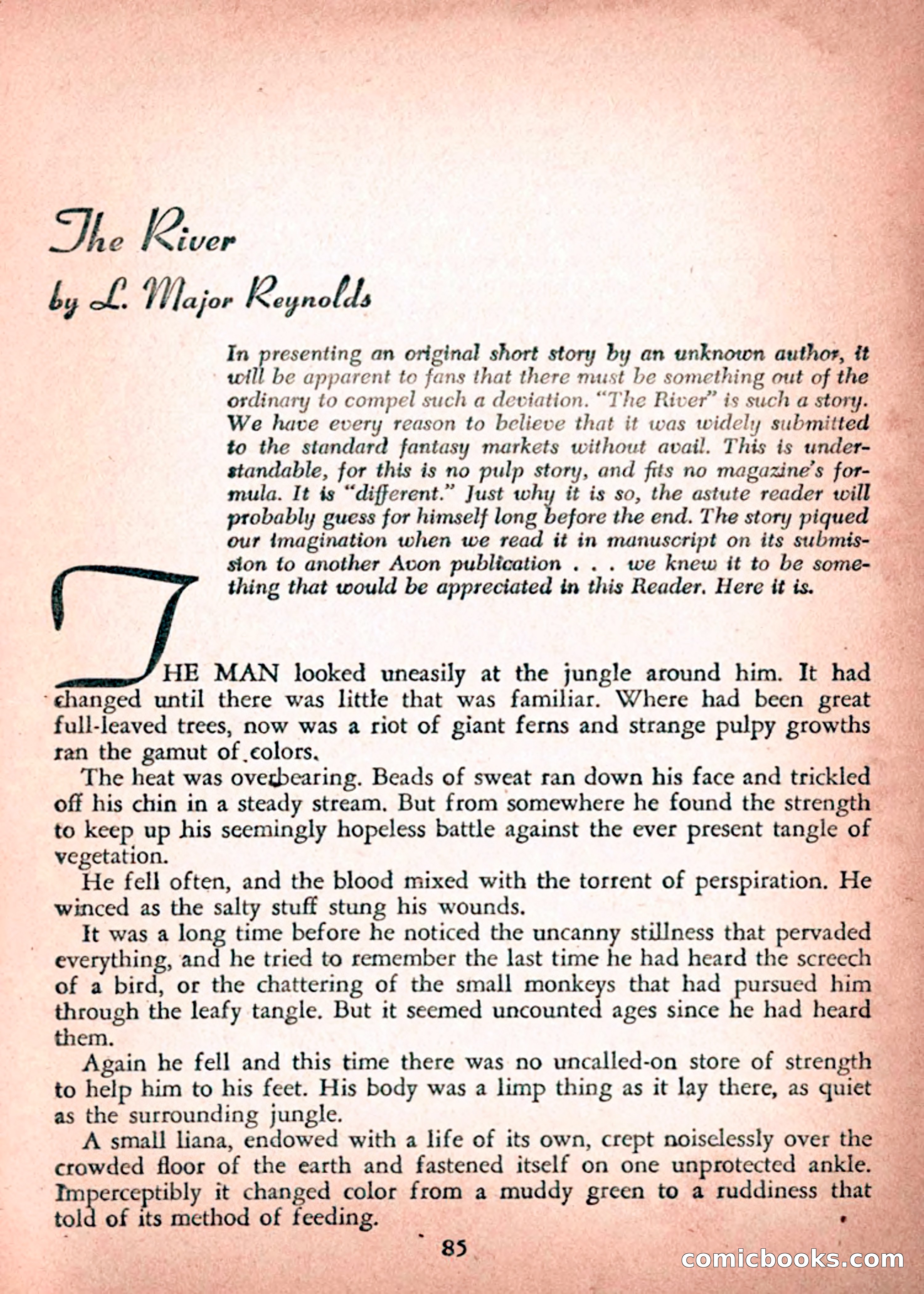 Avon Fantasy Reader No. 16 — page 87 of 132