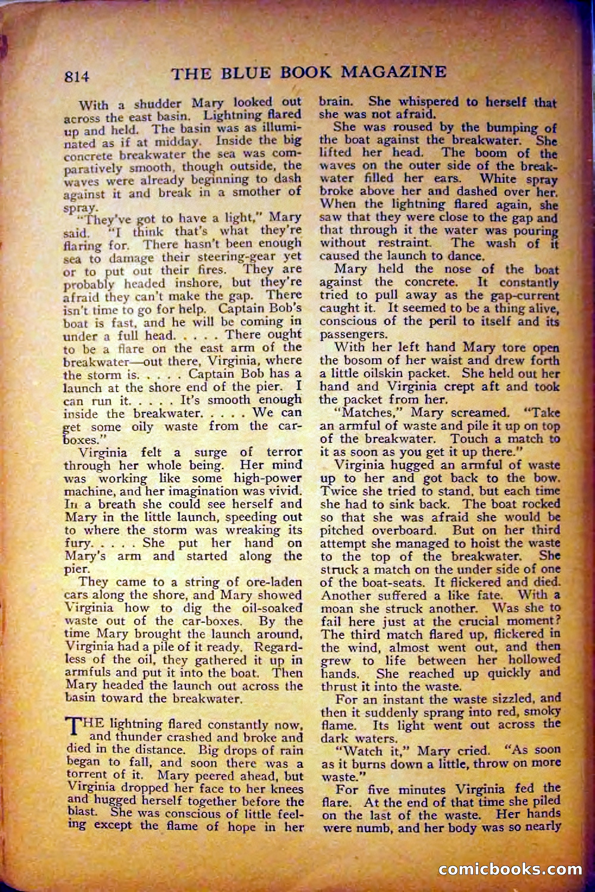 The Blue Book Magazine, August 1916 — page 100 of 260