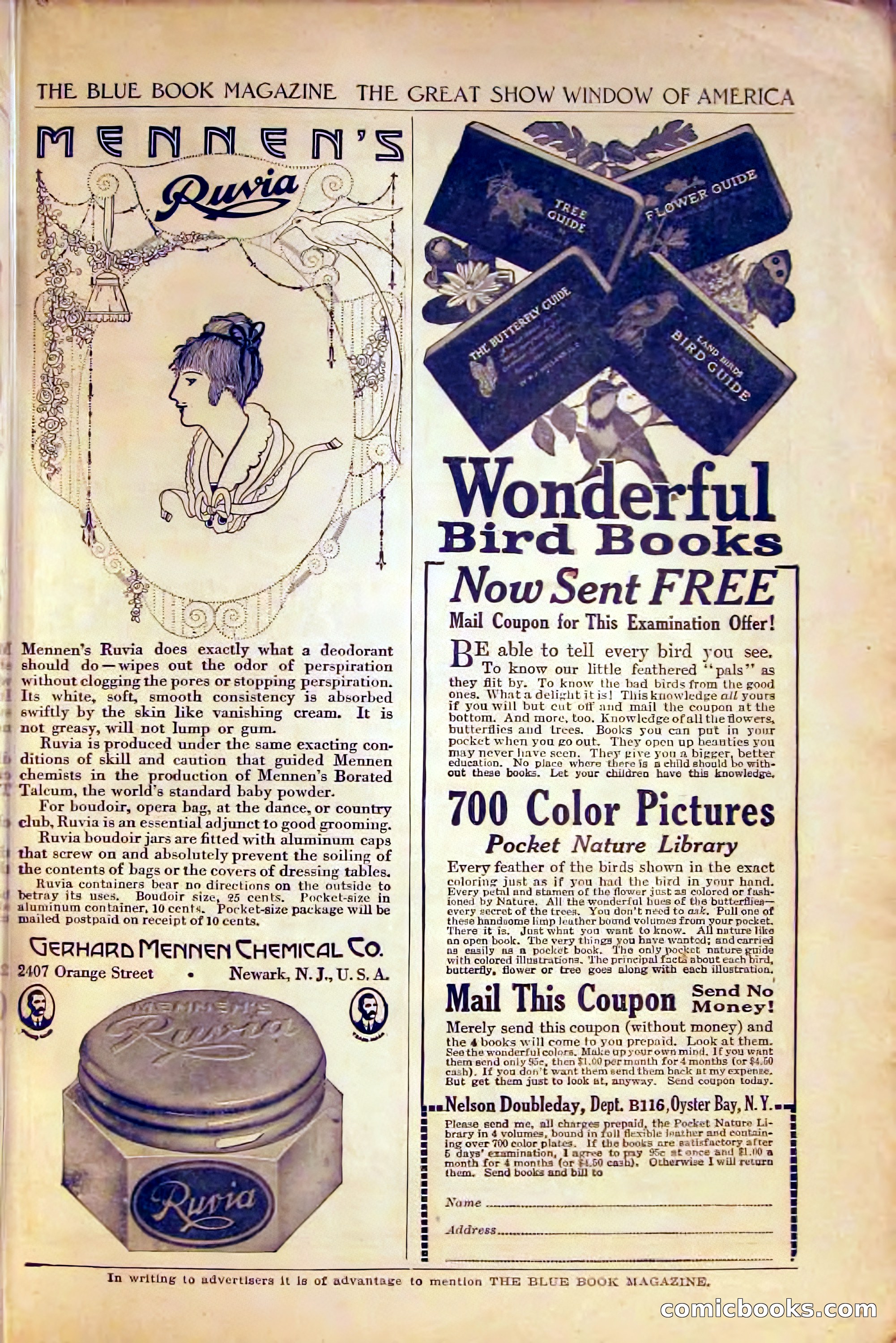The Blue Book Magazine, August 1916 — page 251 of 260
