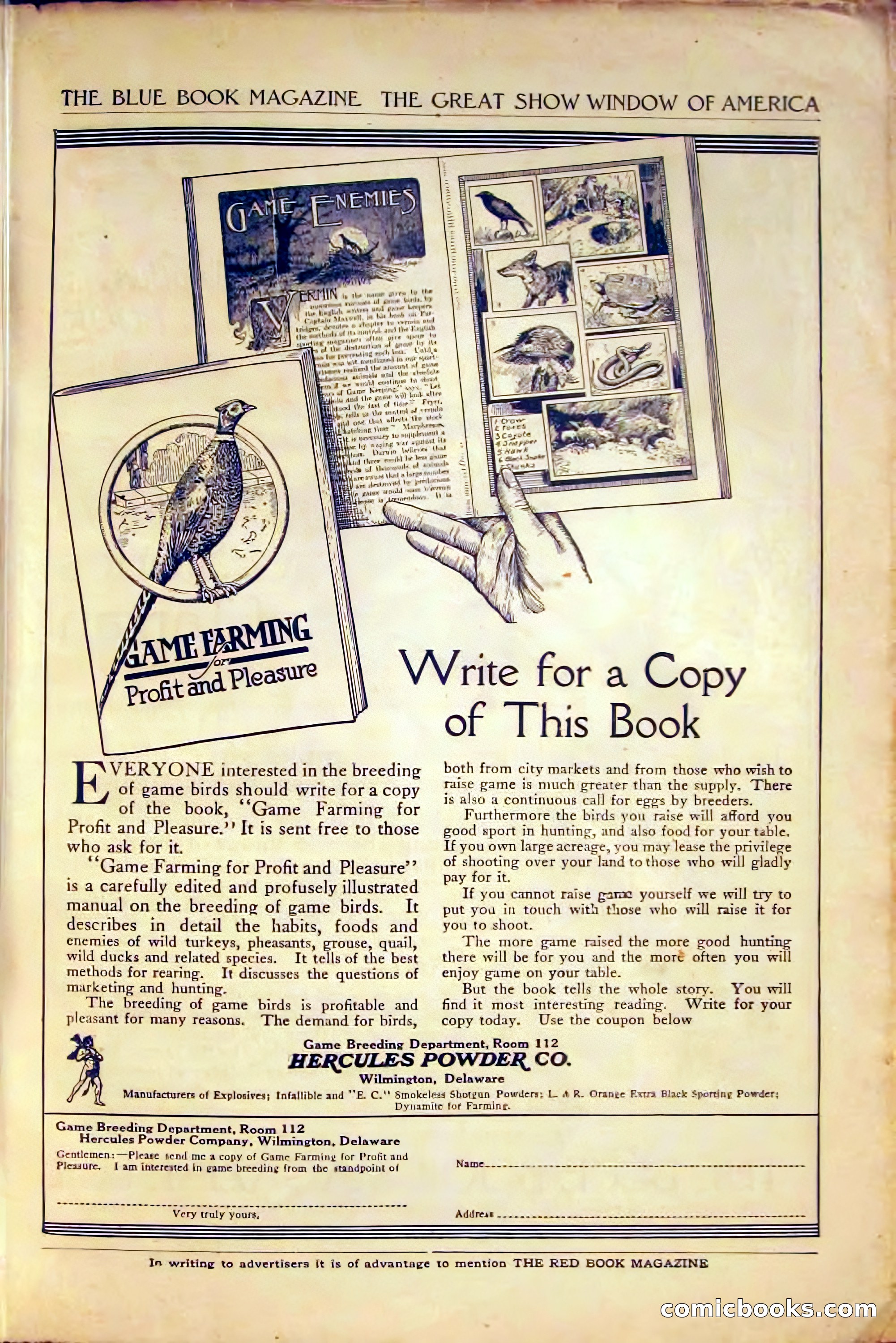 The Blue Book Magazine, August 1916 — page 255 of 260