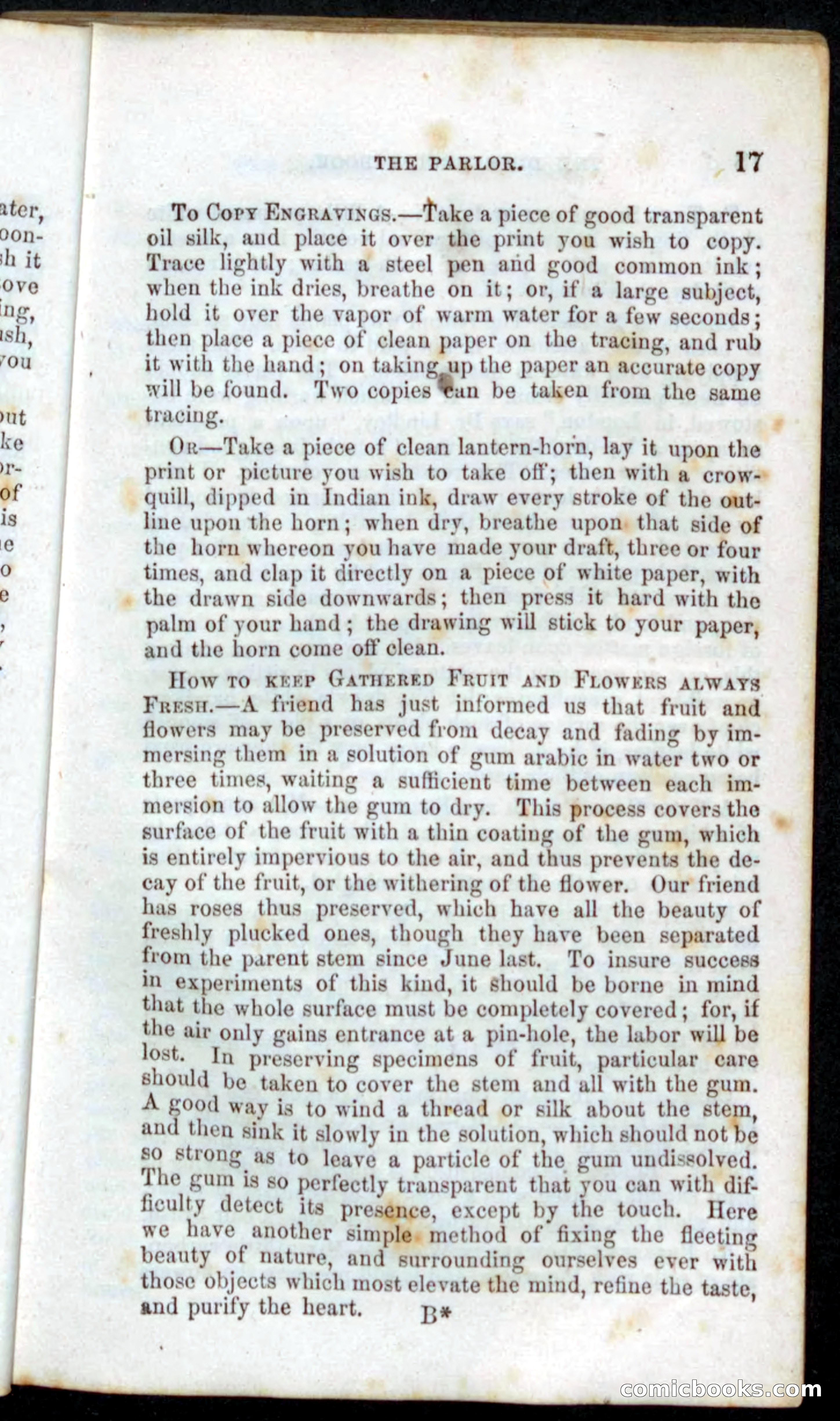 Beadle's Dime Recipe Book — page 19 of 78