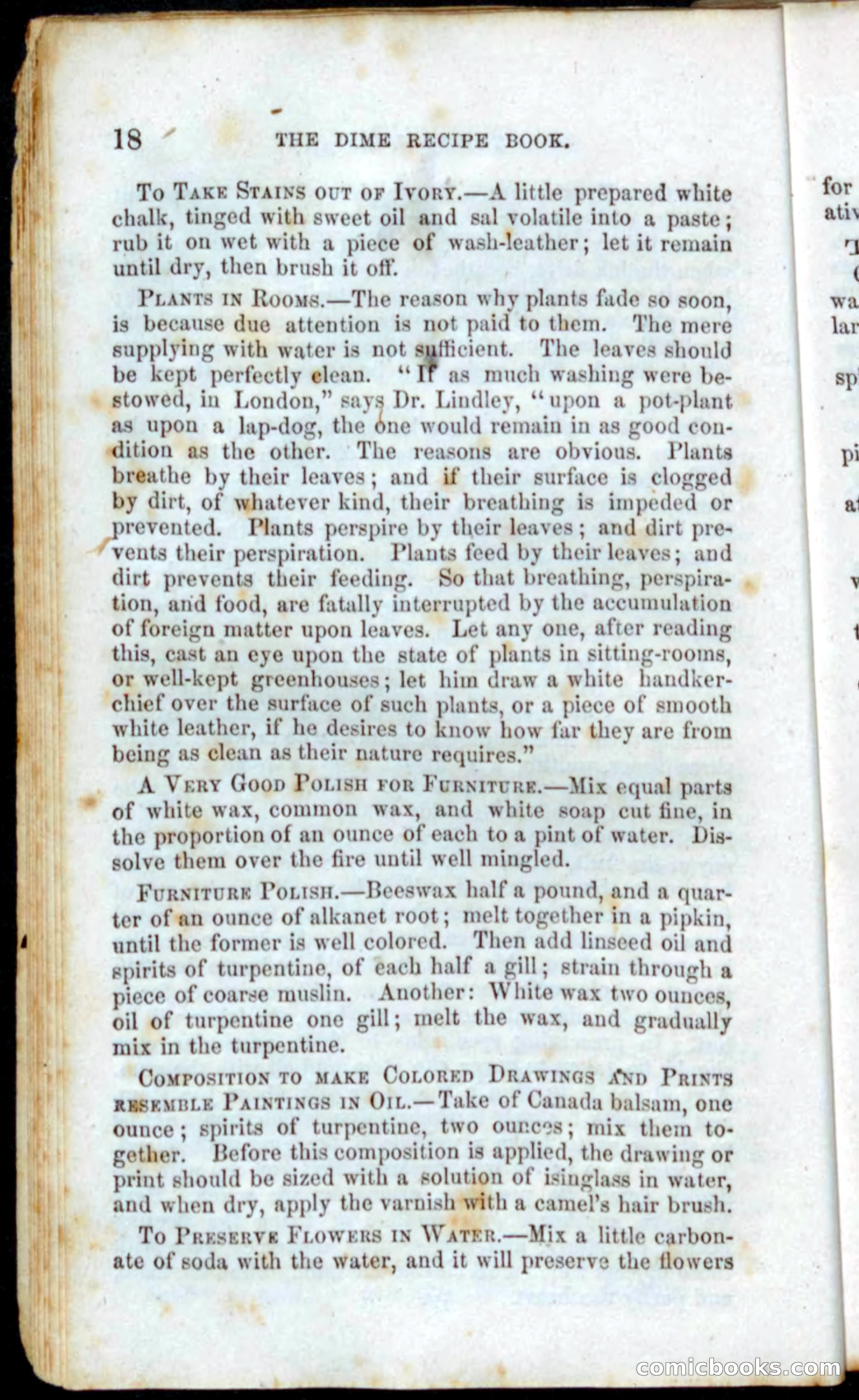 Beadle's Dime Recipe Book — page 20 of 78