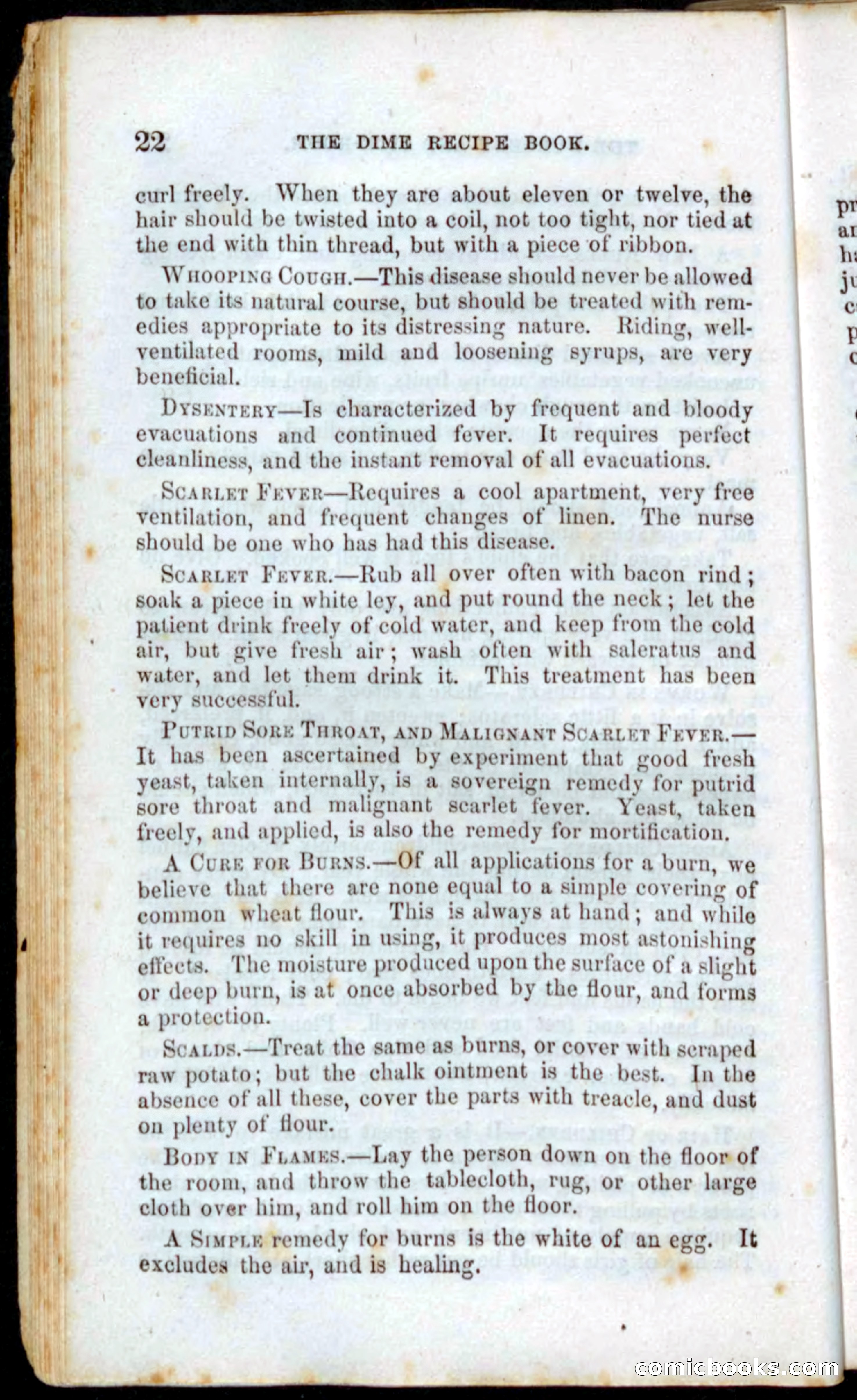 Beadle's Dime Recipe Book — page 24 of 78