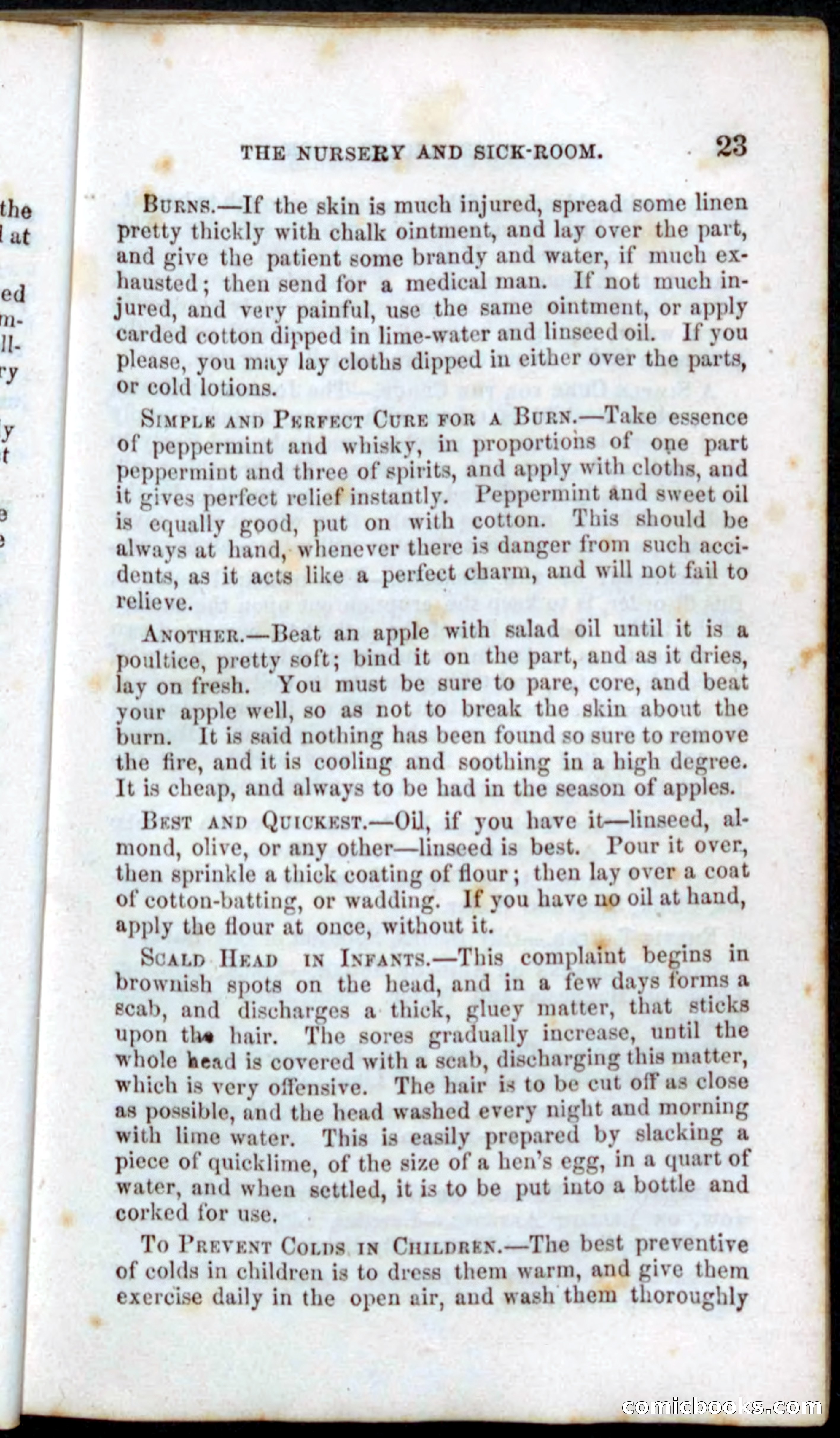 Beadle's Dime Recipe Book — page 25 of 78