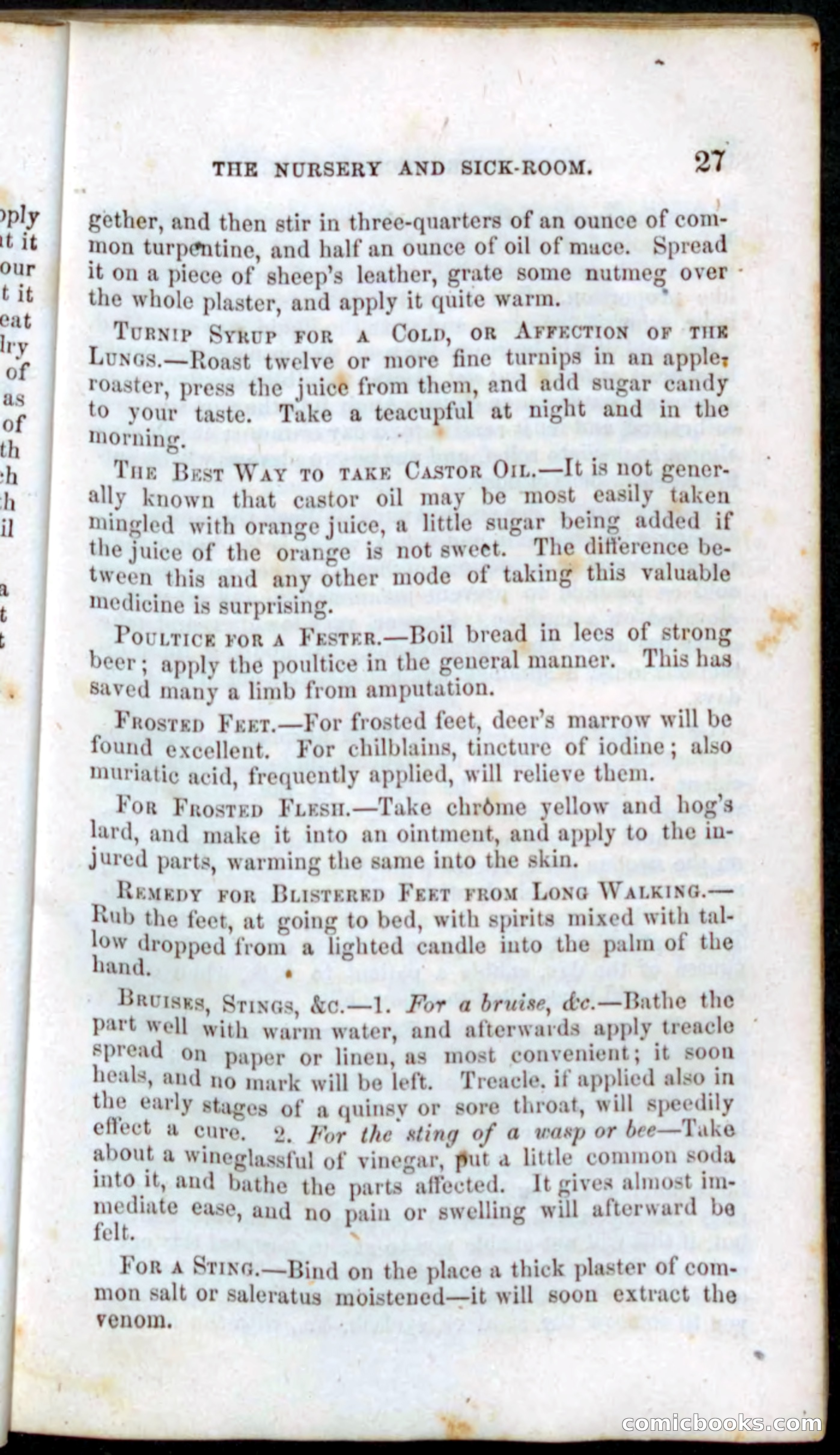 Beadle's Dime Recipe Book — page 29 of 78