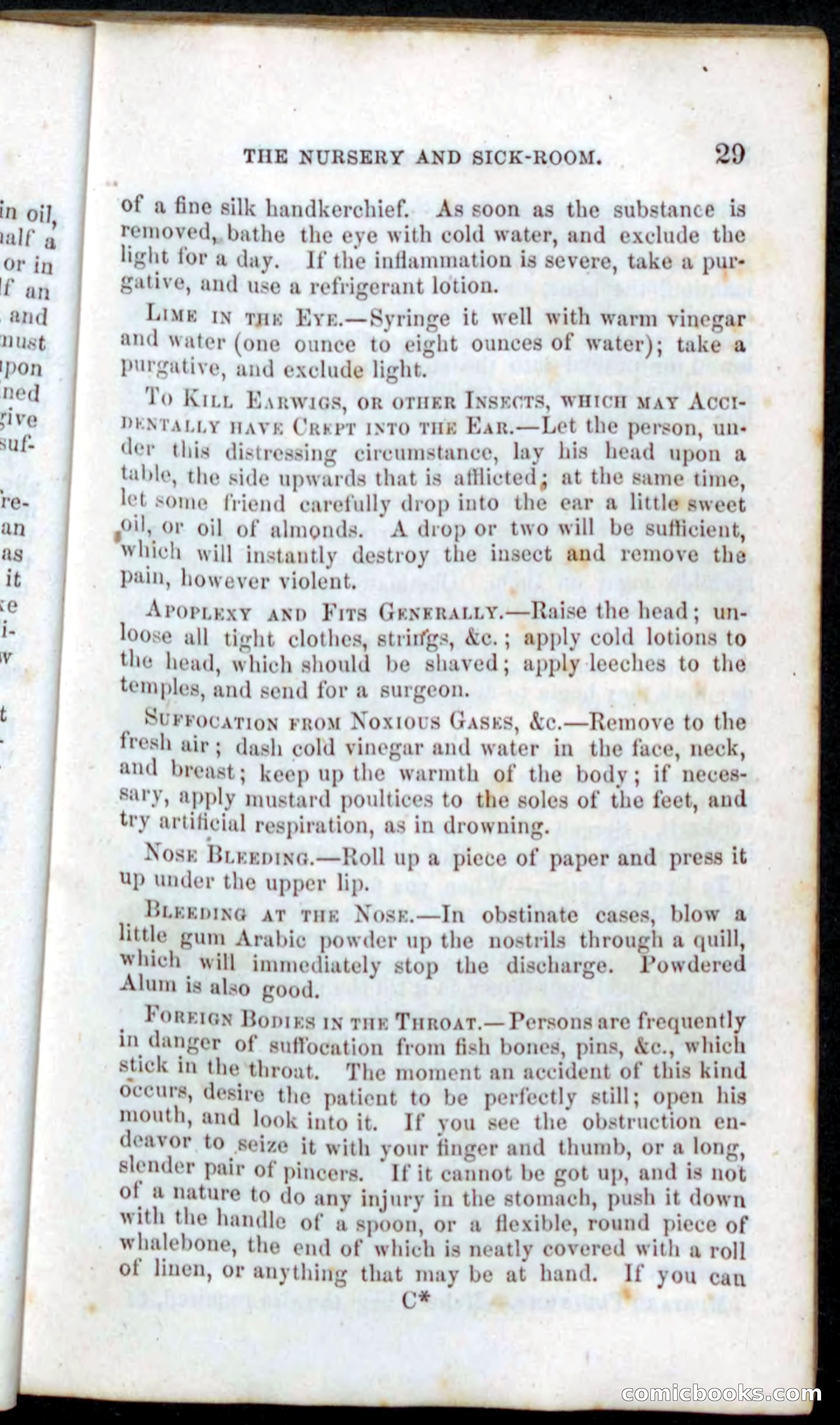 Beadle's Dime Recipe Book — page 31 of 78
