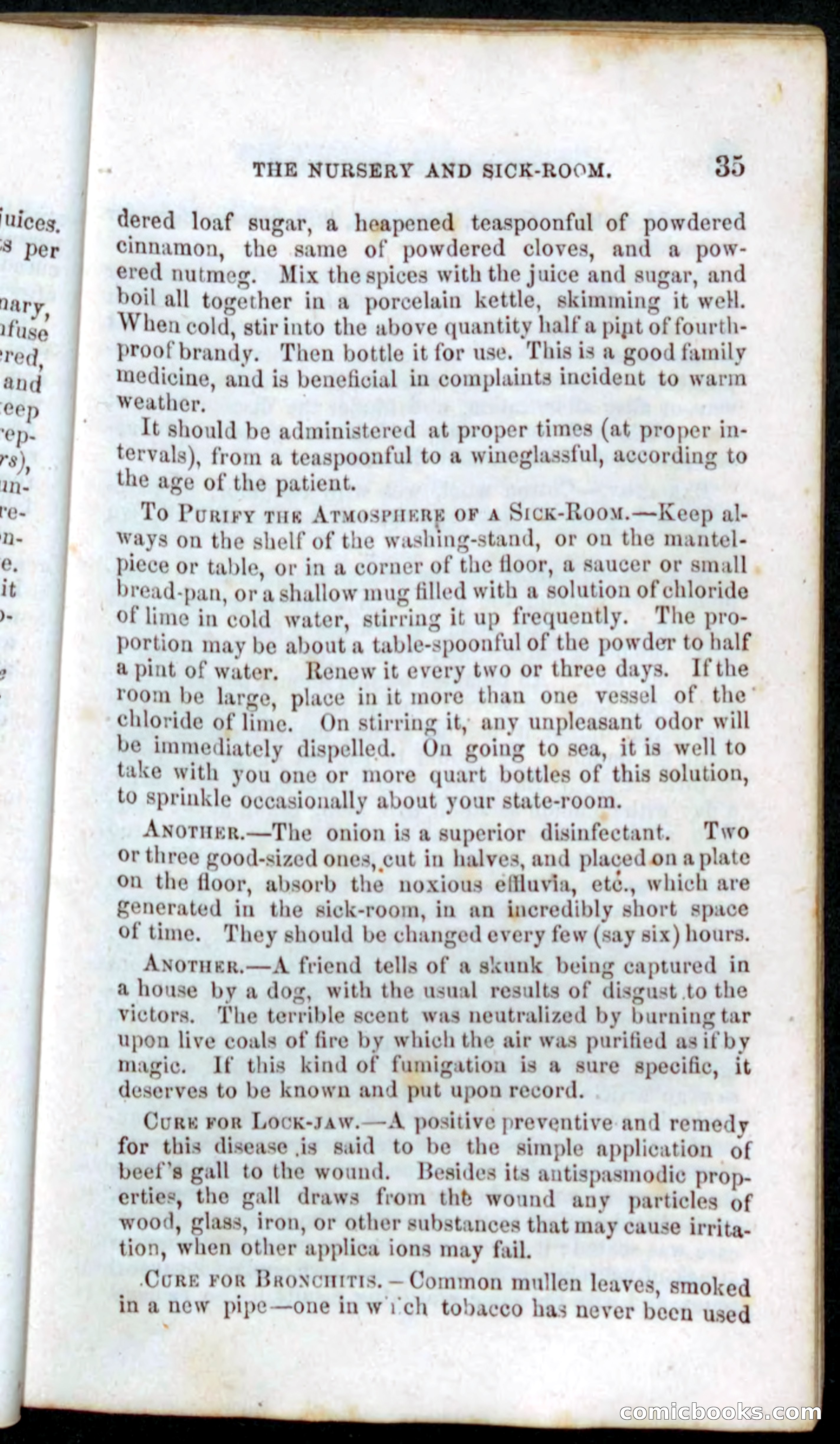 Beadle's Dime Recipe Book — page 37 of 78