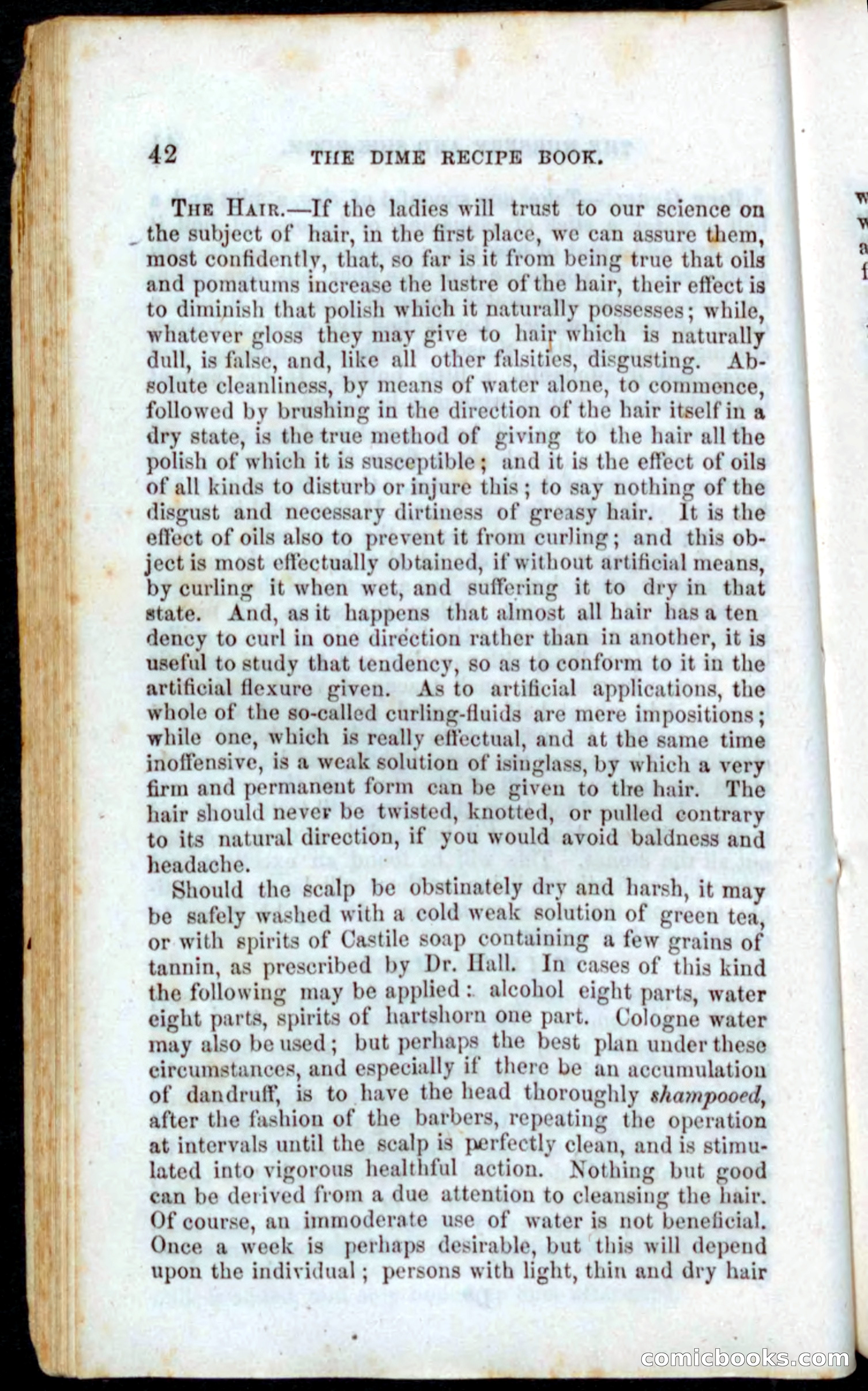 Beadle's Dime Recipe Book — page 44 of 78