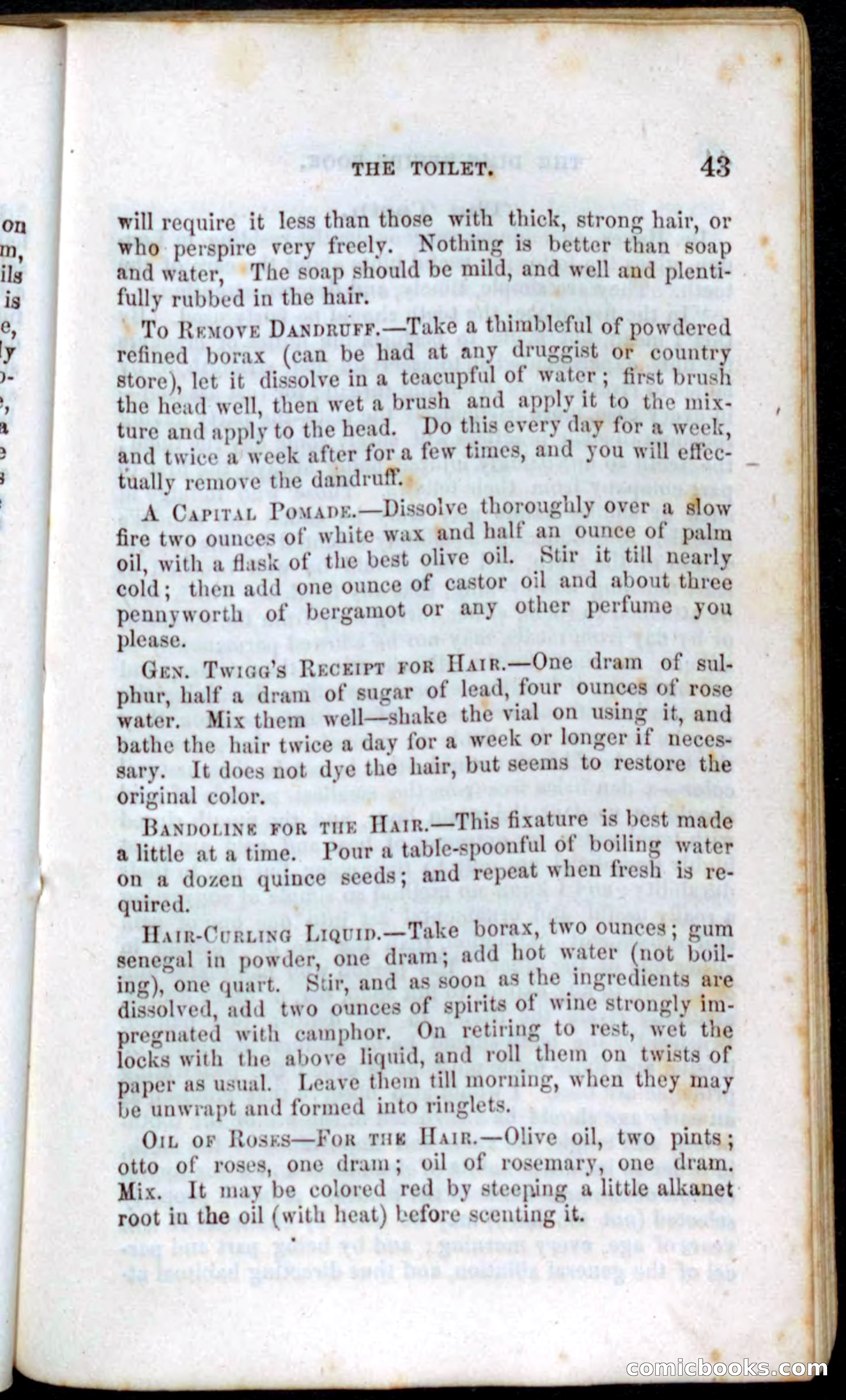 Beadle's Dime Recipe Book — page 45 of 78