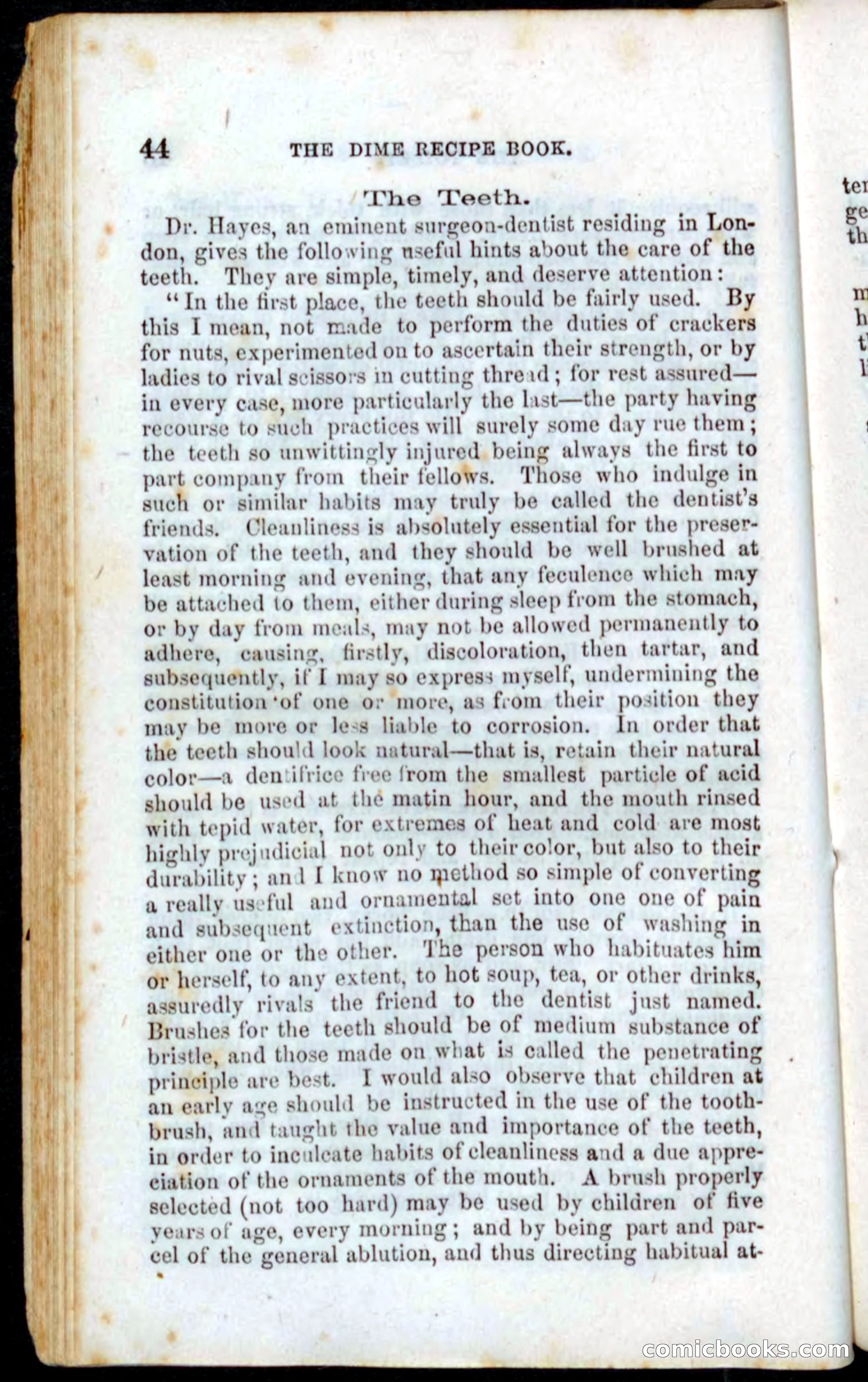 Beadle's Dime Recipe Book — page 46 of 78